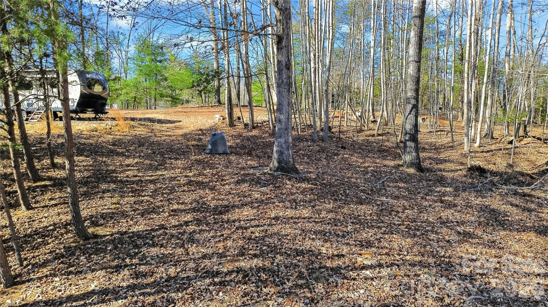 434 Free Path Drive - Photo 32