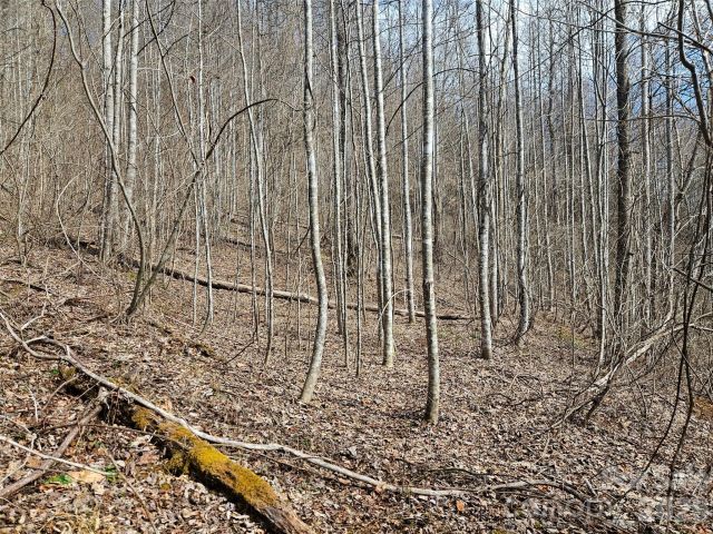 0 Woodfin Road, Sylva, NC, 28779