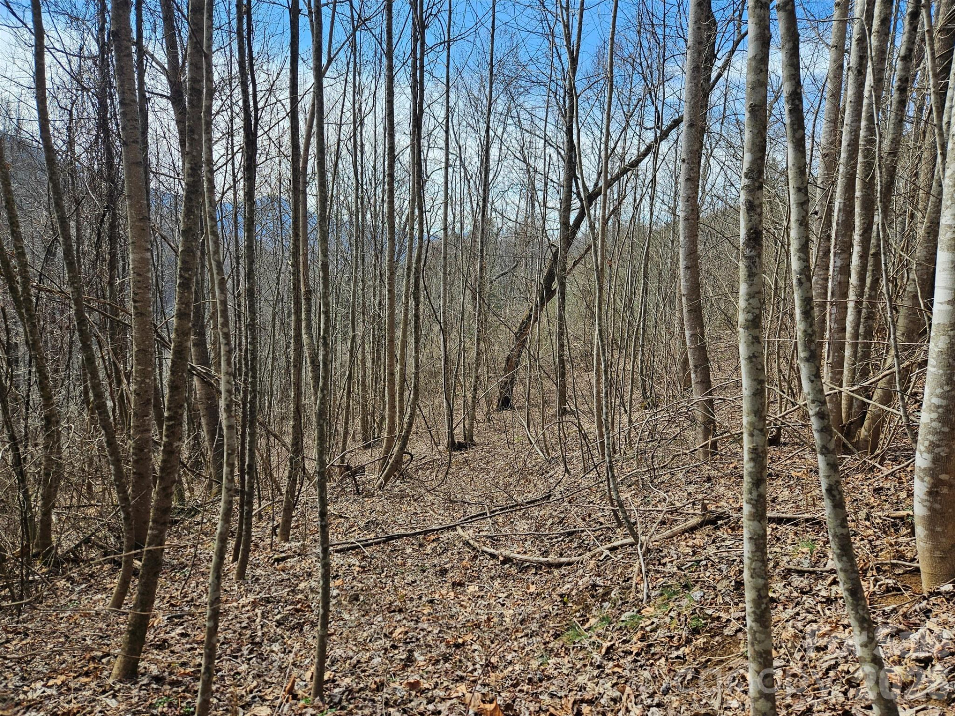 0 Woodfin Road - Photo 2