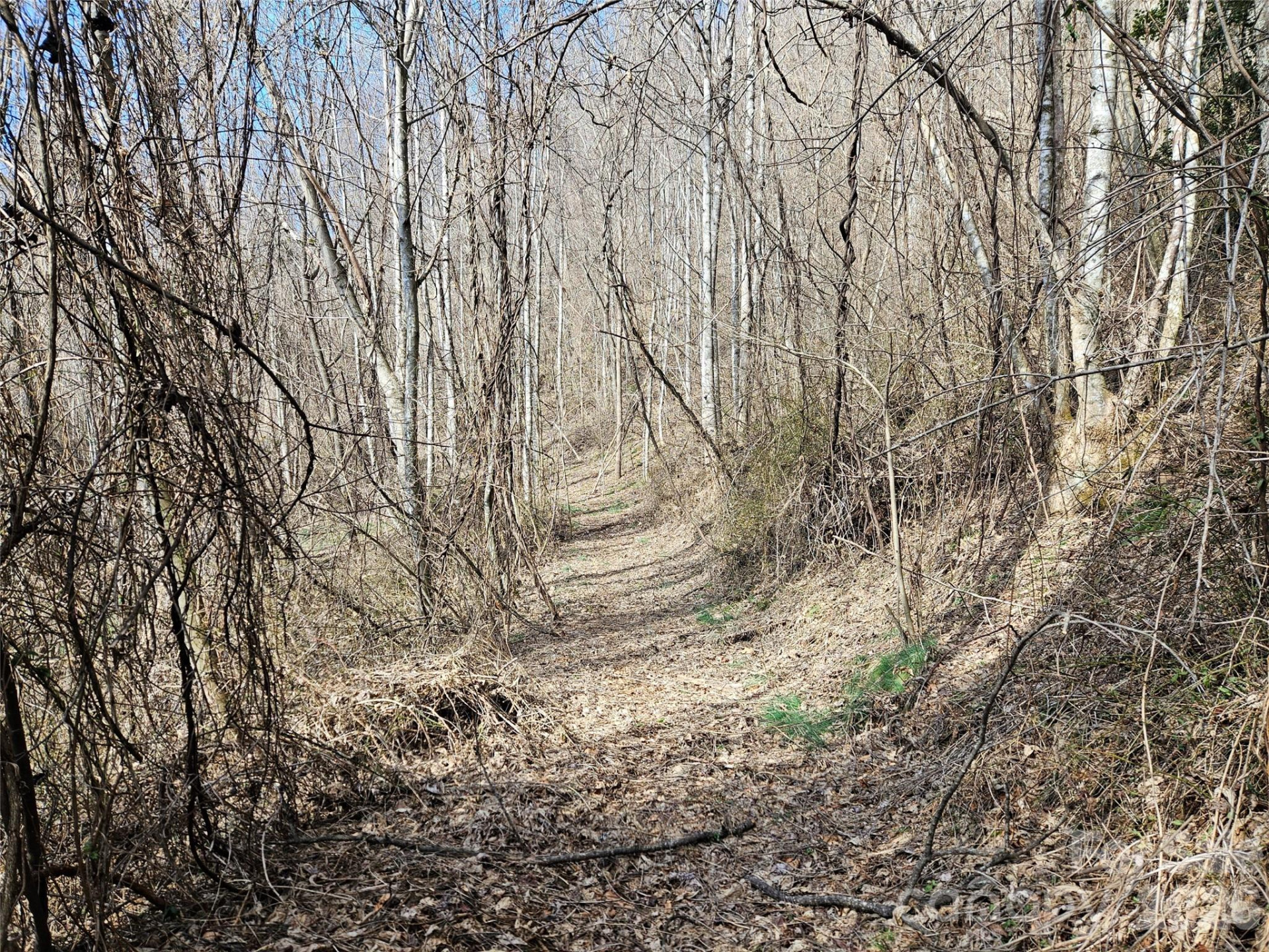 0 Woodfin Road - Photo 3