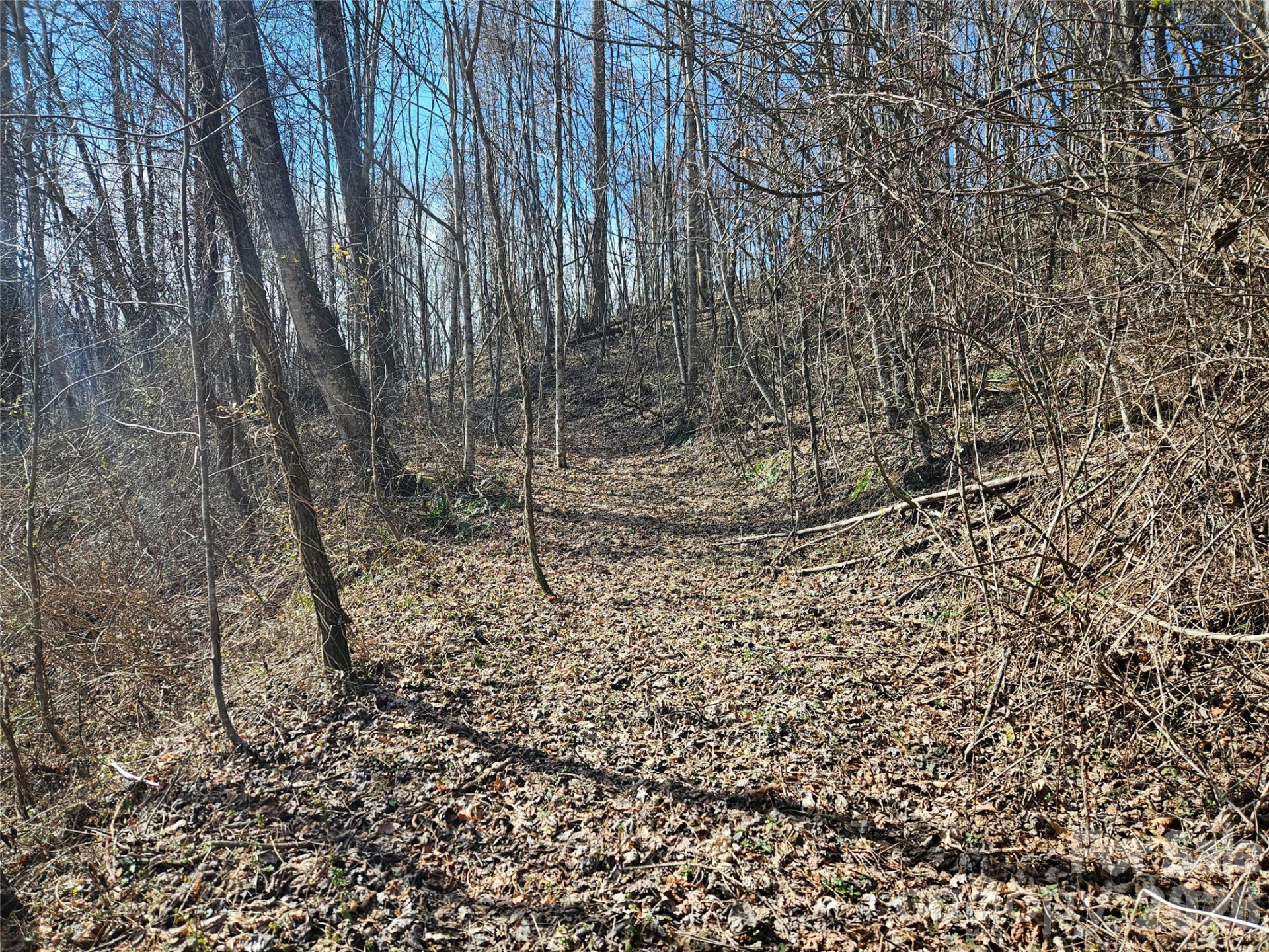 0 Woodfin Road - Photo 4