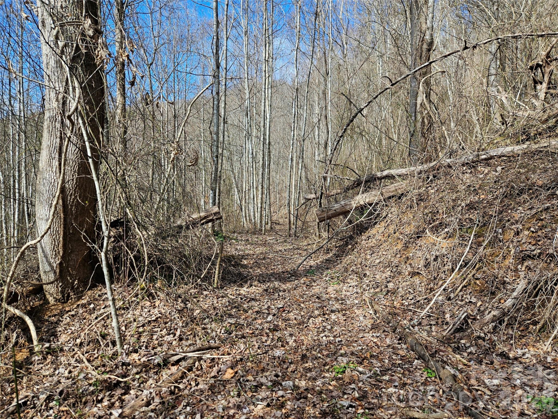 0 Woodfin Road - Photo 5