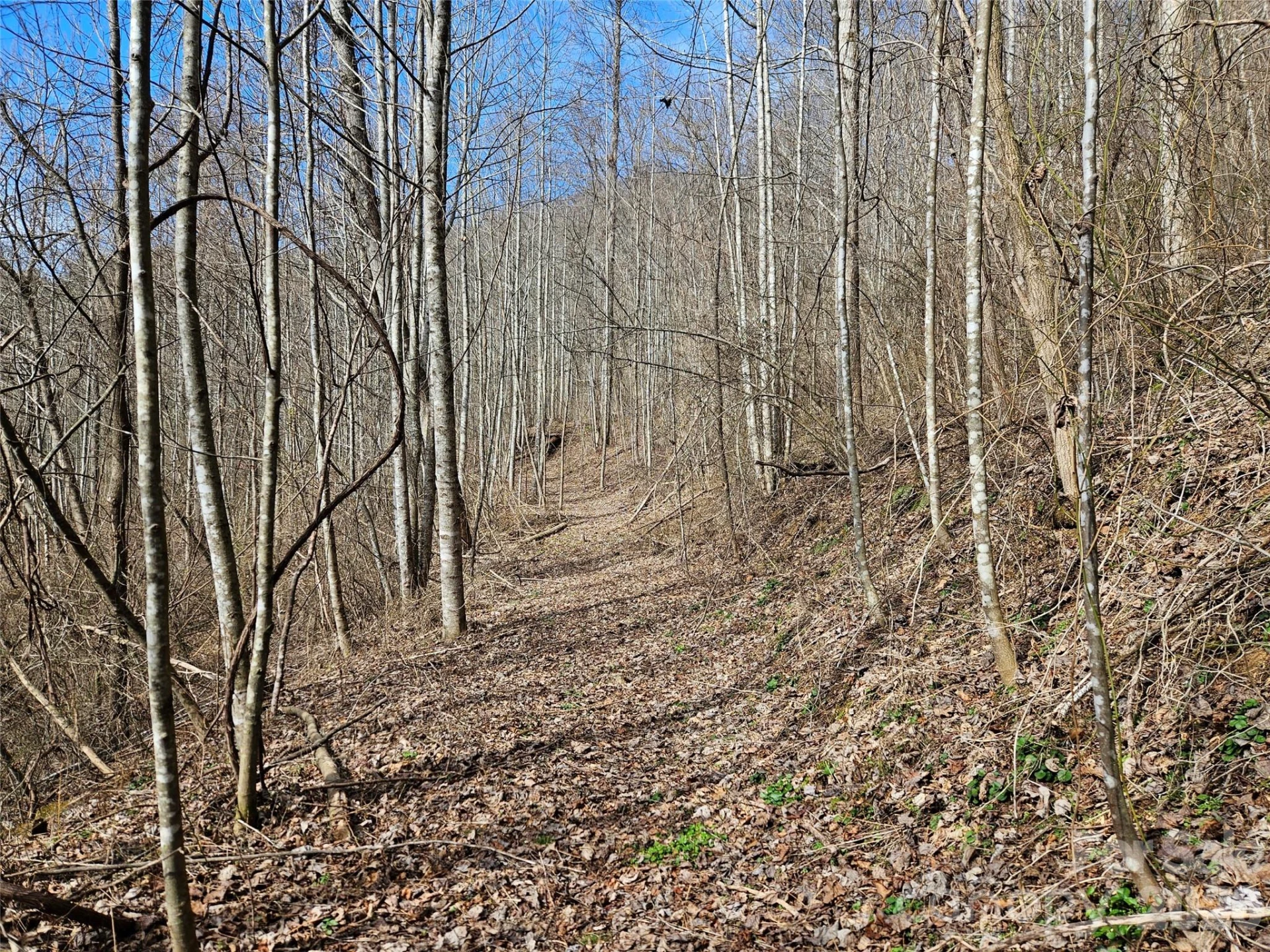 0 Woodfin Road - Photo 6