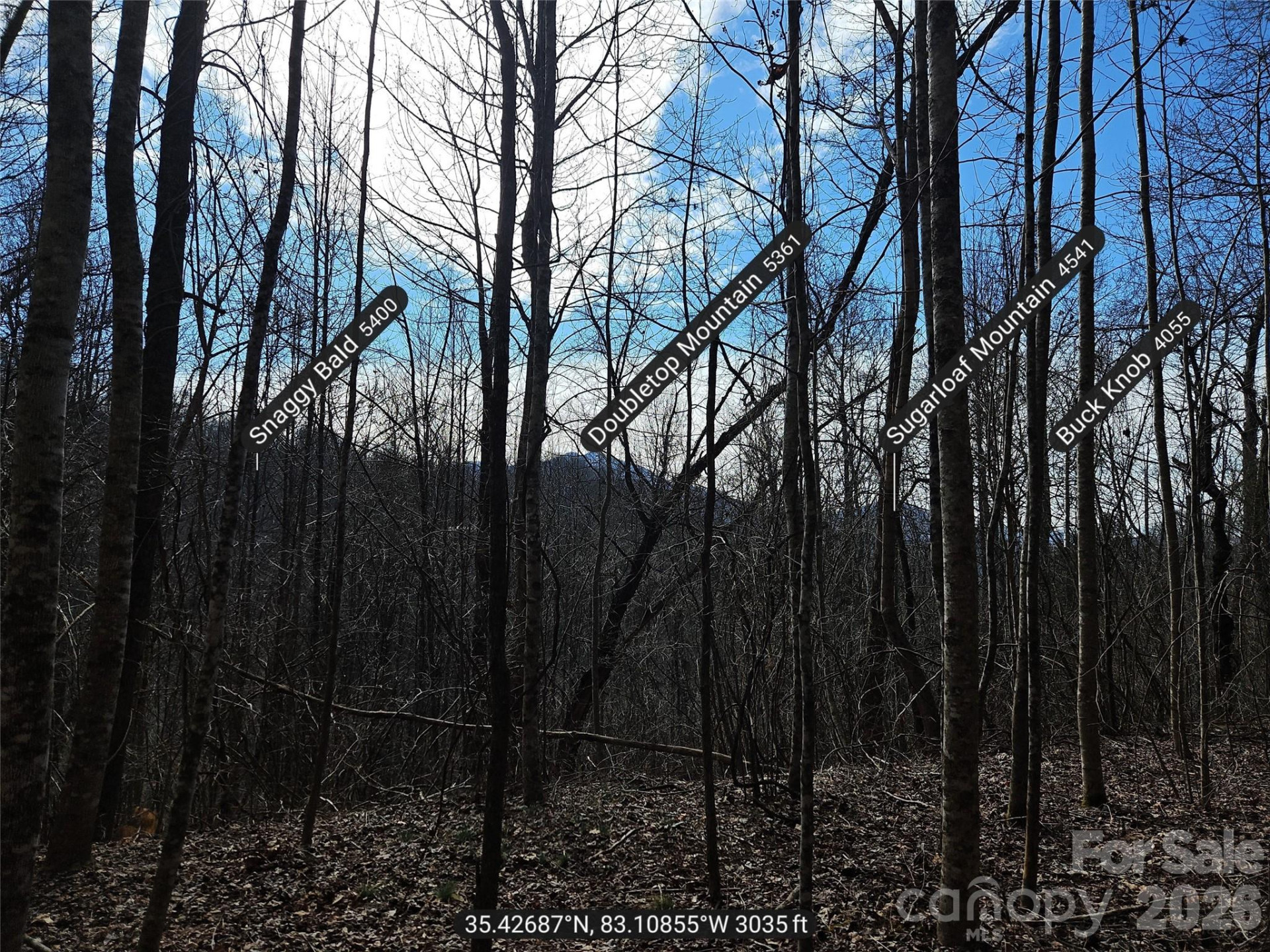 0 Woodfin Road - Photo 7