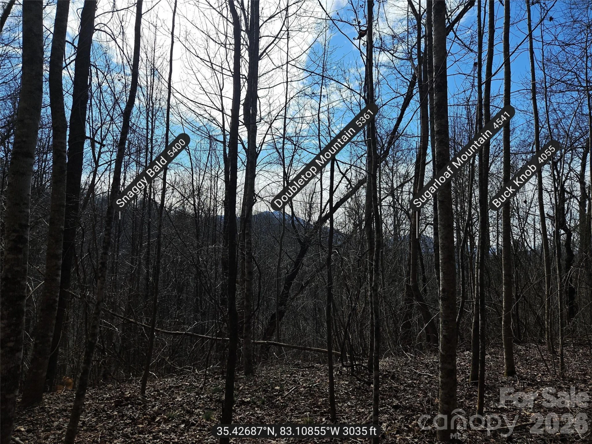 0 Woodfin Road - Photo 7