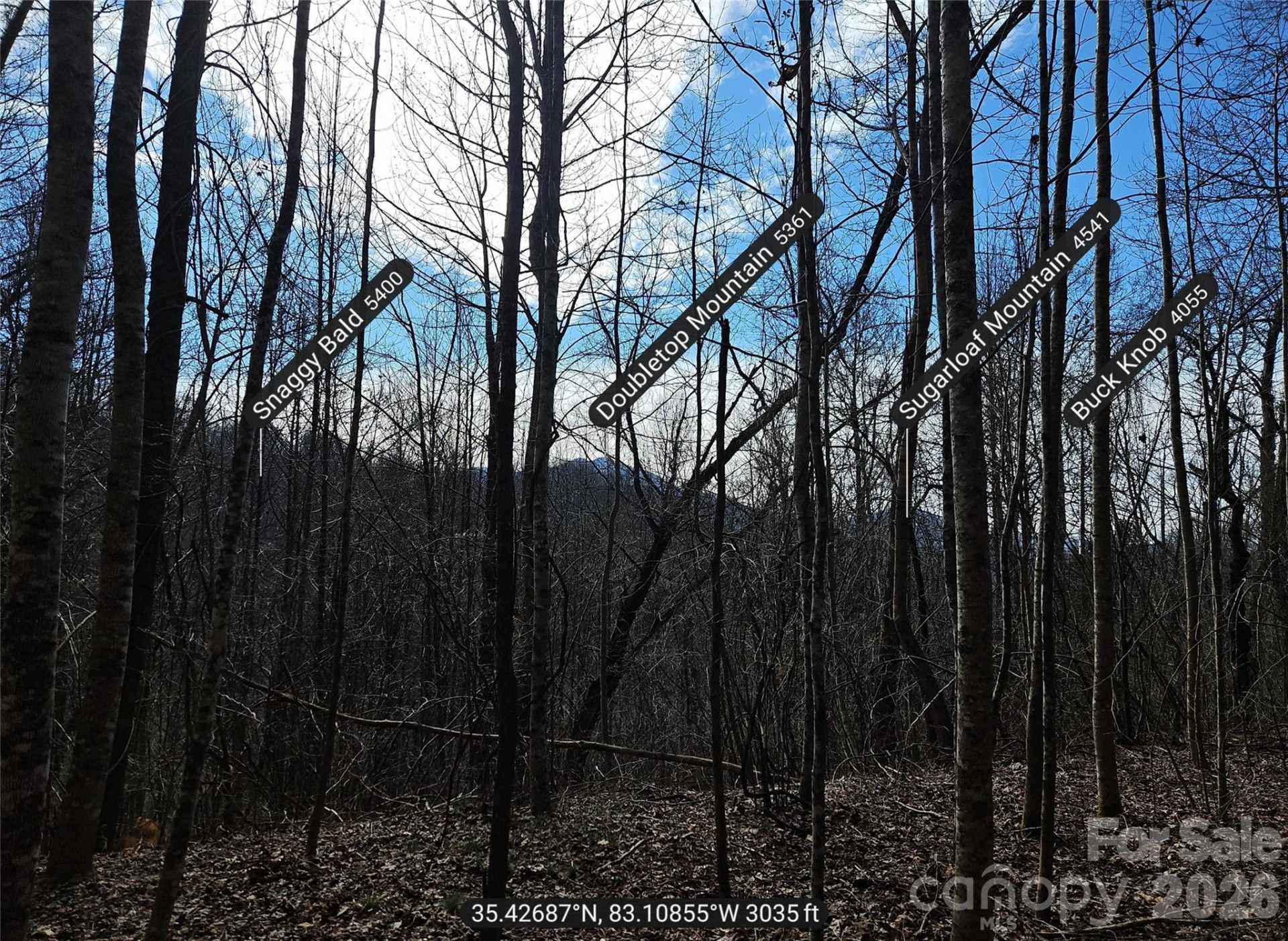 0 Woodfin Road - Photo 8