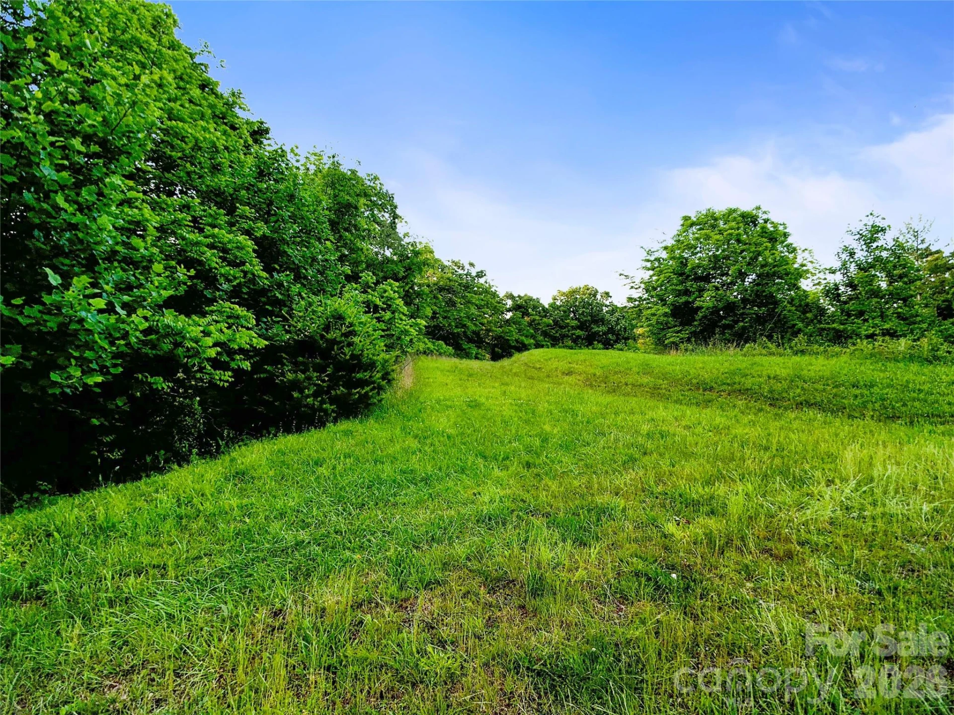 99999 Bear Creek Road #38