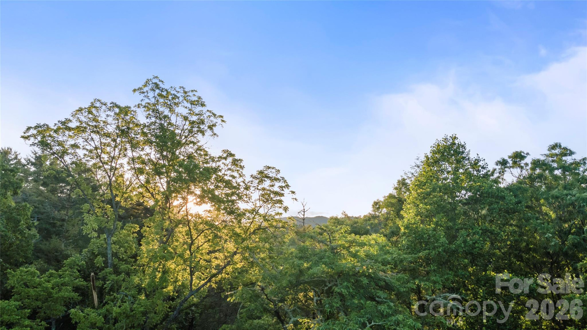 99999 Bear Creek Road #38 - Photo 12