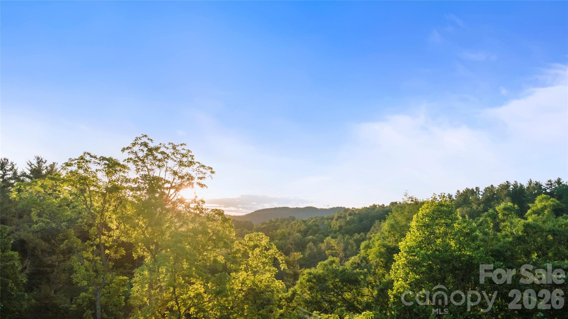 99999 Bear Creek Road #38 - Photo 13