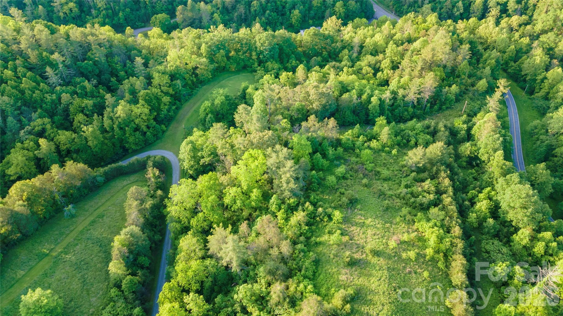 99999 Bear Creek Road #38 - Photo 8