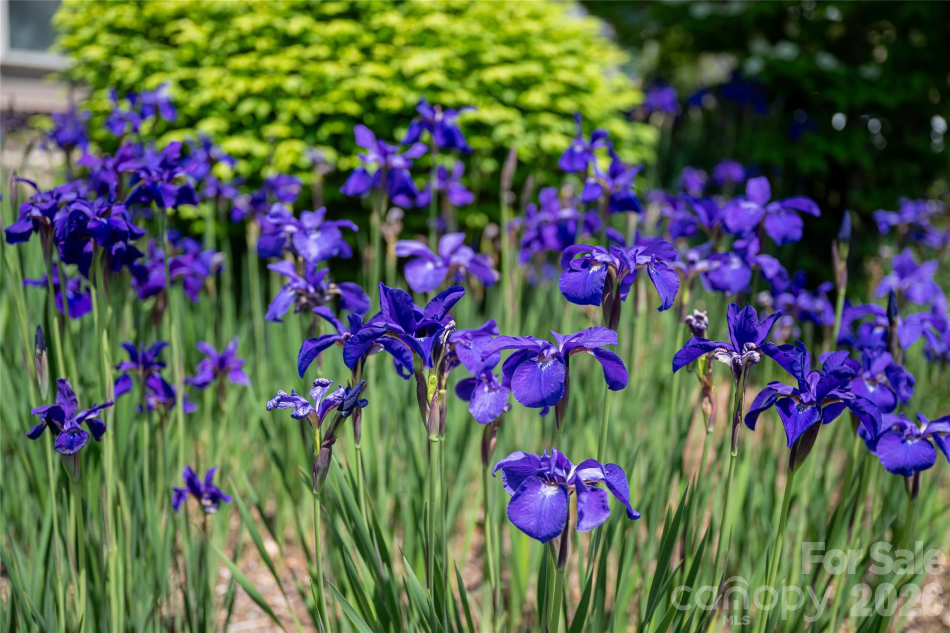 55 Outlook Circle - Photo 41