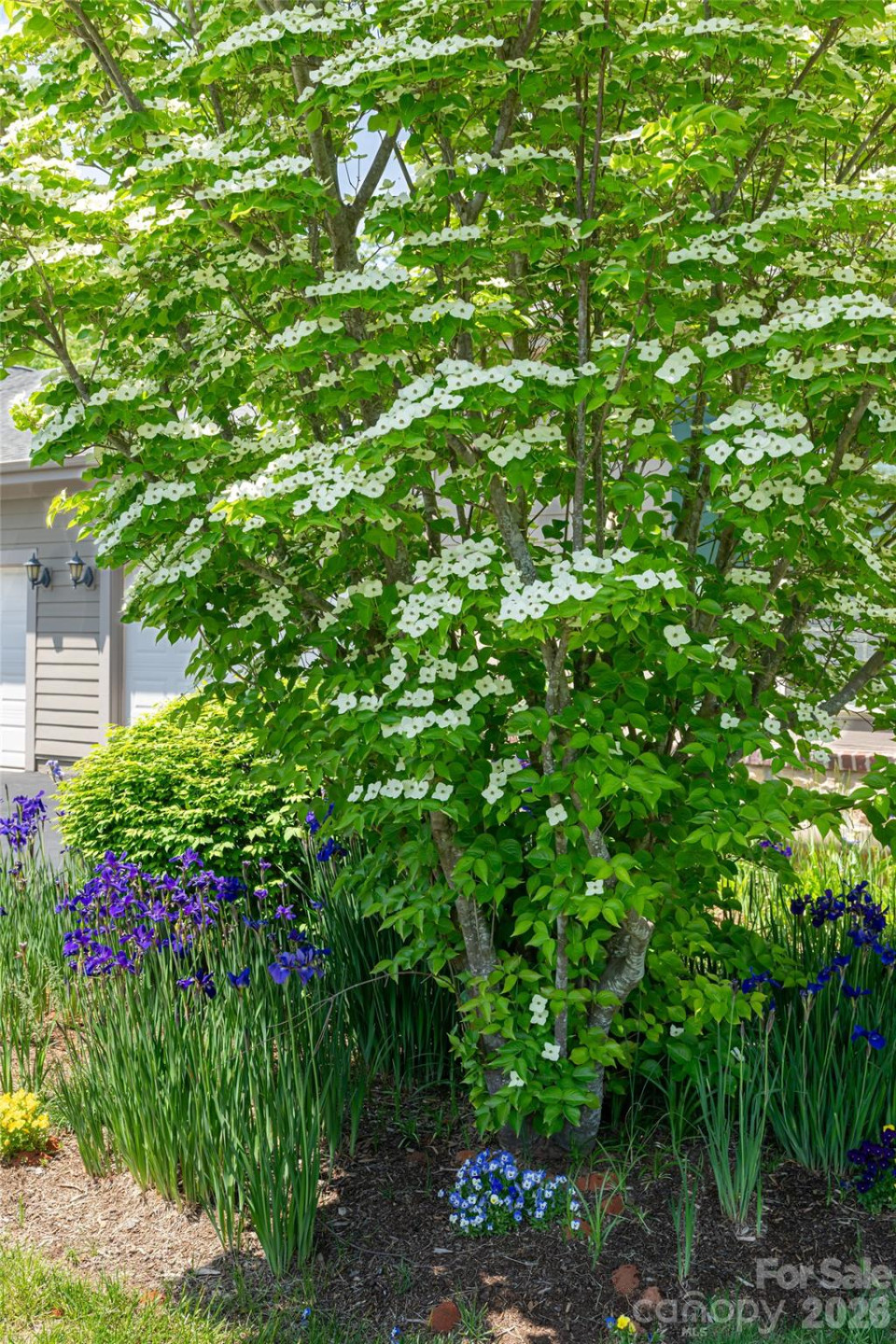 55 Outlook Circle - Photo 43