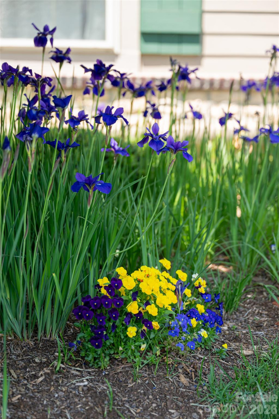 55 Outlook Circle - Photo 44