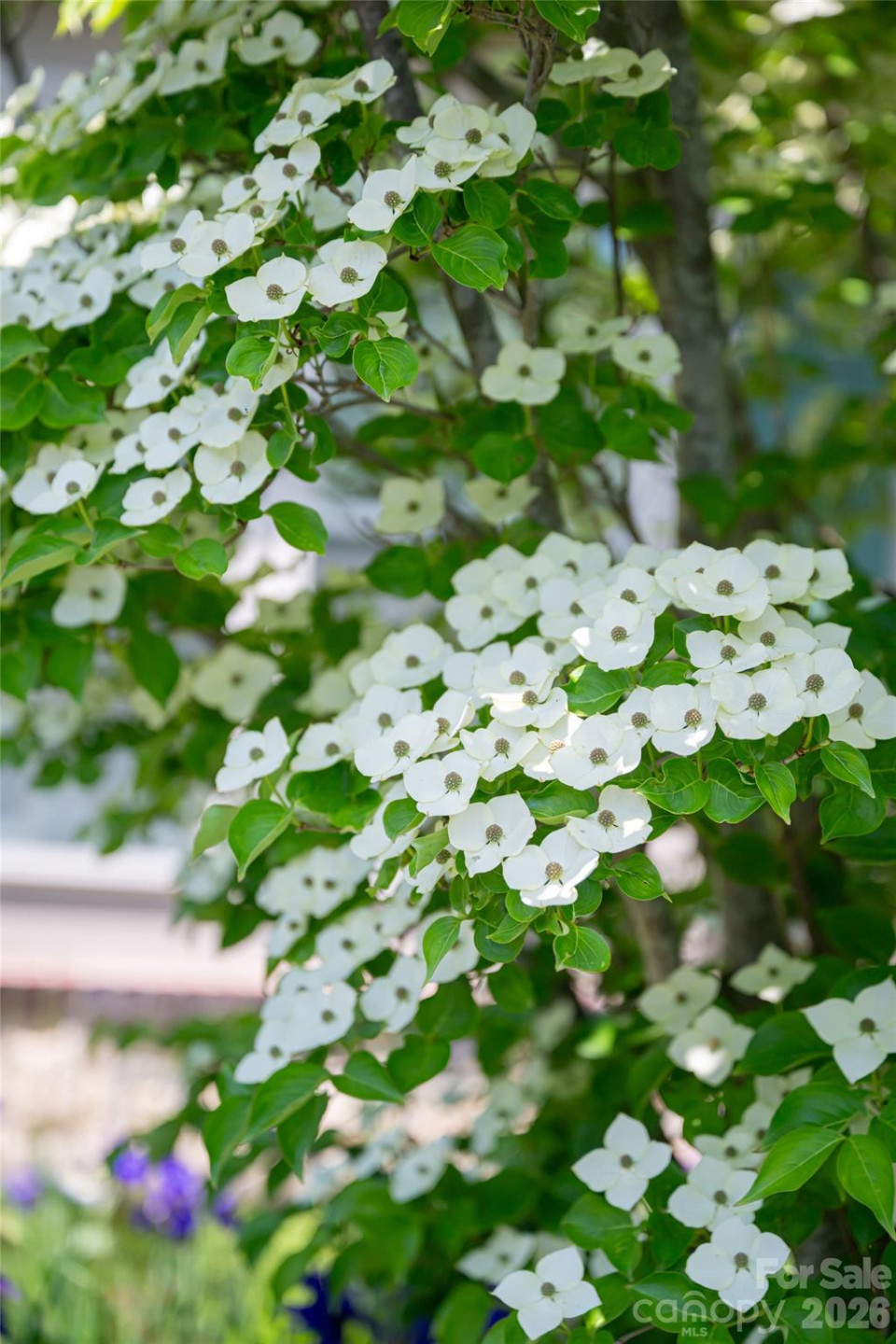 55 Outlook Circle - Photo 45