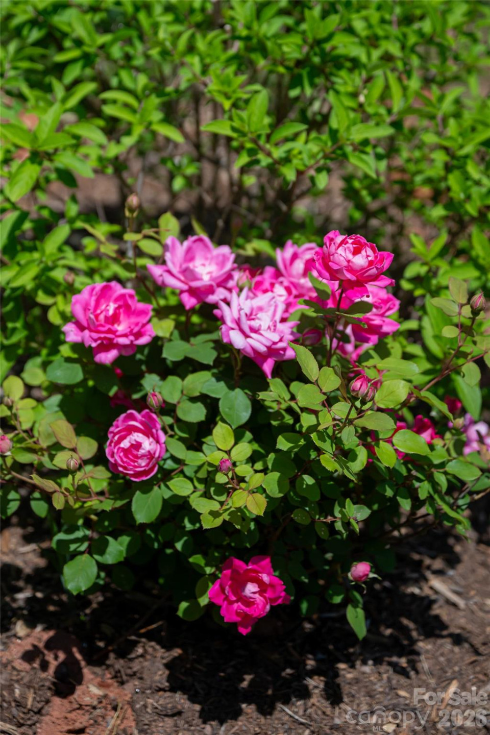 55 Outlook Circle - Photo 46