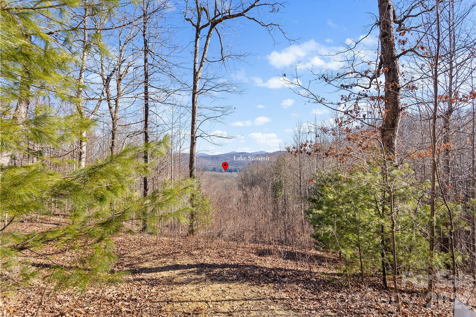 0000 Pinnacle Mountain Road #Lots 1,2,3,4 - Photo 2