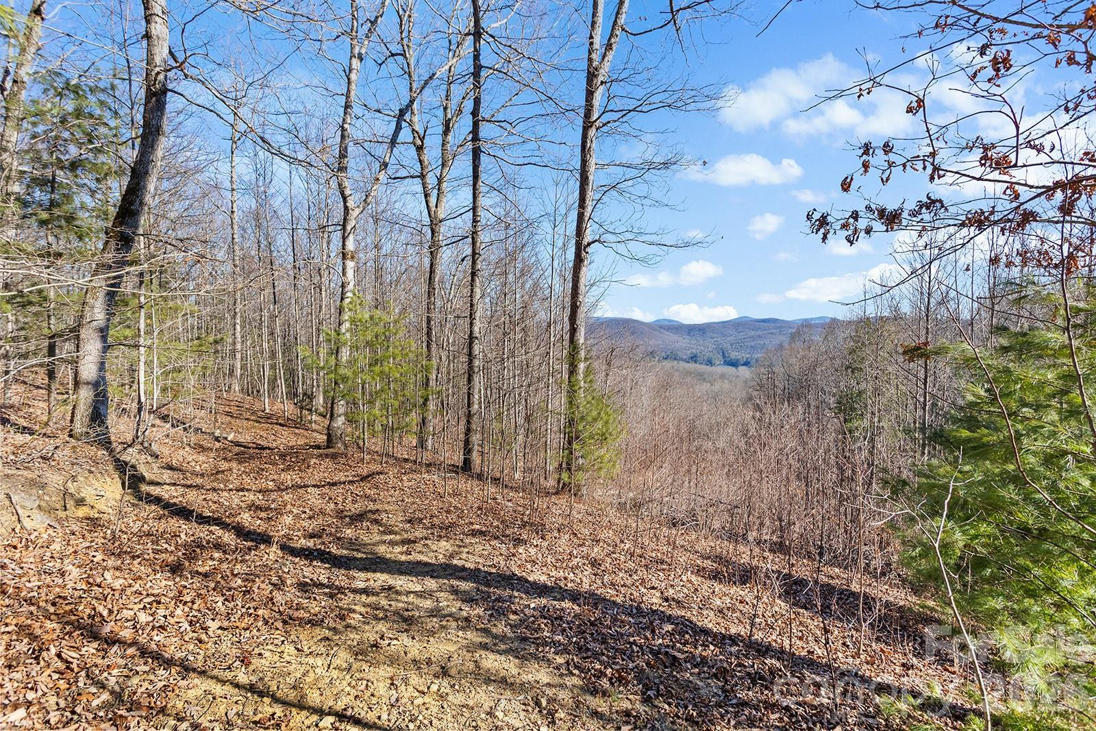 0000 Pinnacle Mountain Road #Lots 1,2,3,4 - Photo 11
