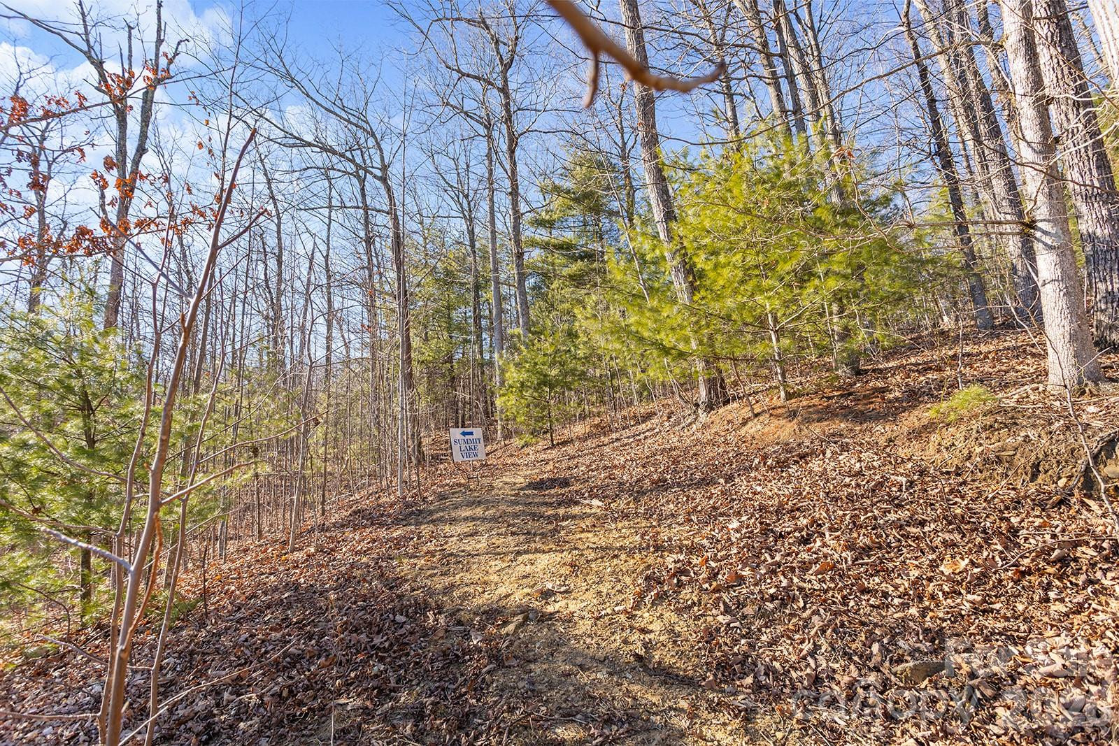 0000 Pinnacle Mountain Road #Lots 1,2,3,4 - Photo 17