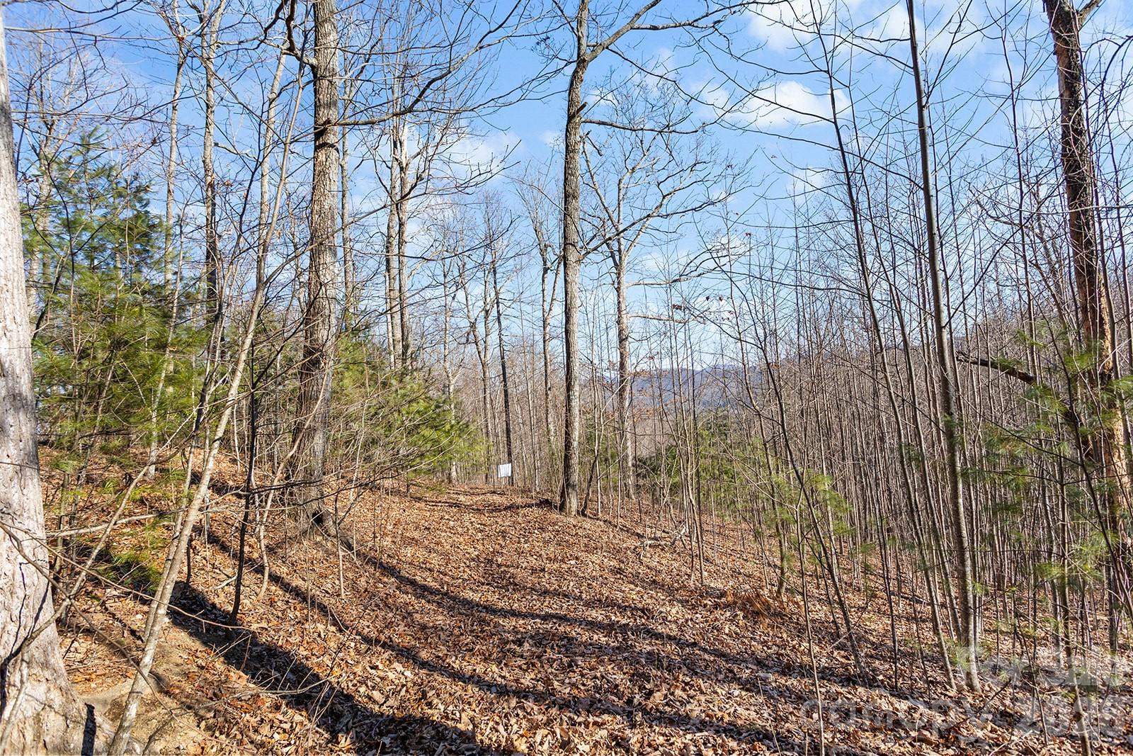 0000 Pinnacle Mountain Road #Lots 1,2,3,4 - Photo 18