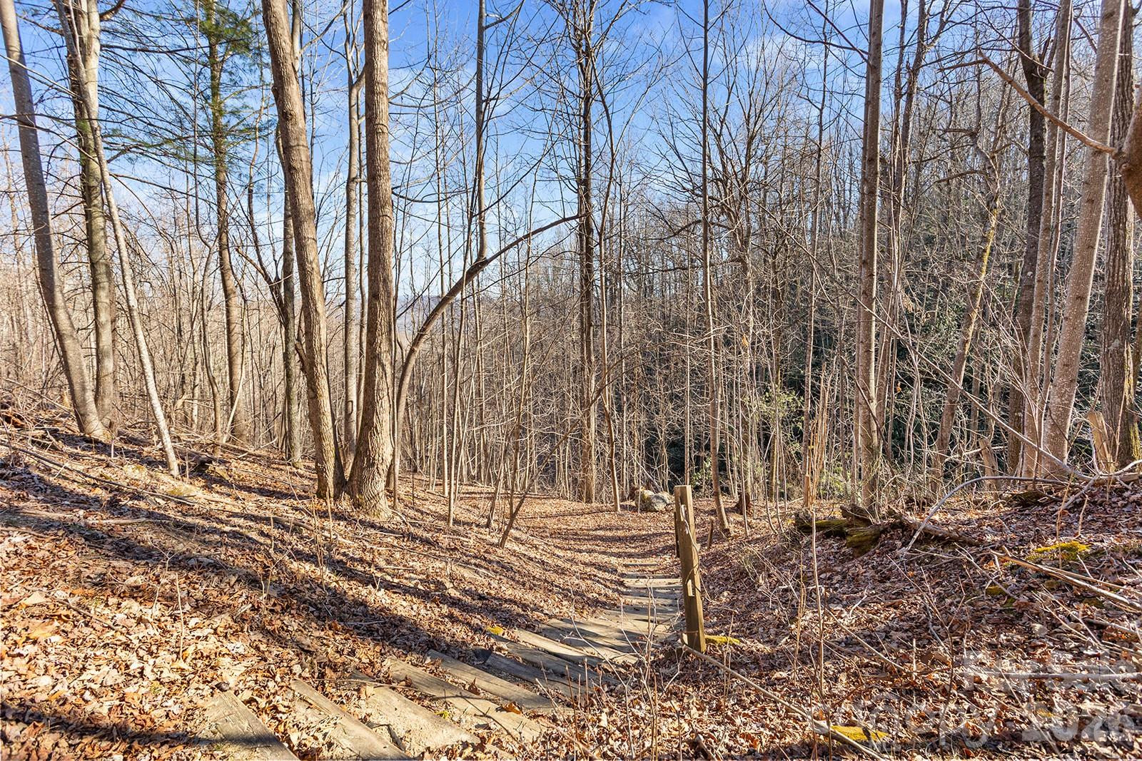 0000 Pinnacle Mountain Road #Lots 1,2,3,4 - Photo 19
