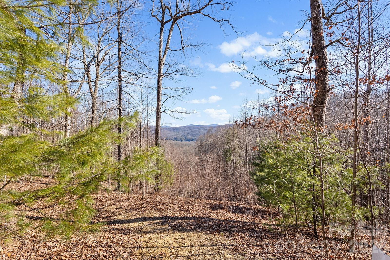 0000 Pinnacle Mountain Road #Lots 1,2,3,4 - Photo 20