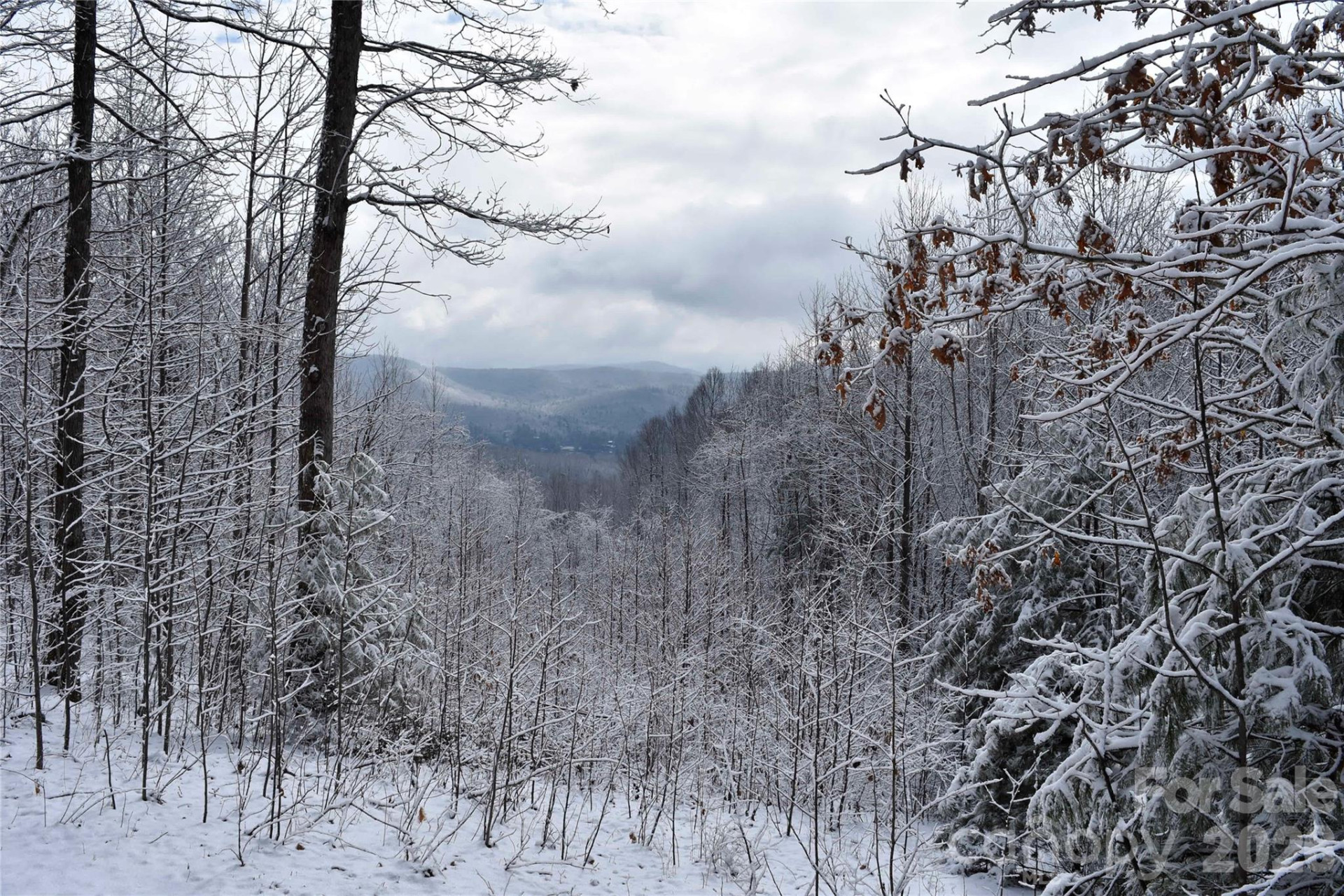 0000 Pinnacle Mountain Road #Lots 1,2,3,4 - Photo 3