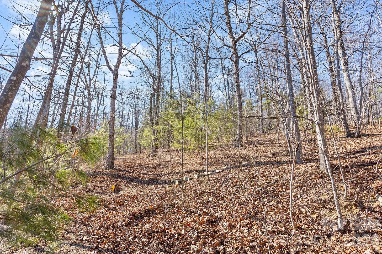 0000 Pinnacle Mountain Road #Lots 1,2,3,4 - Photo 21