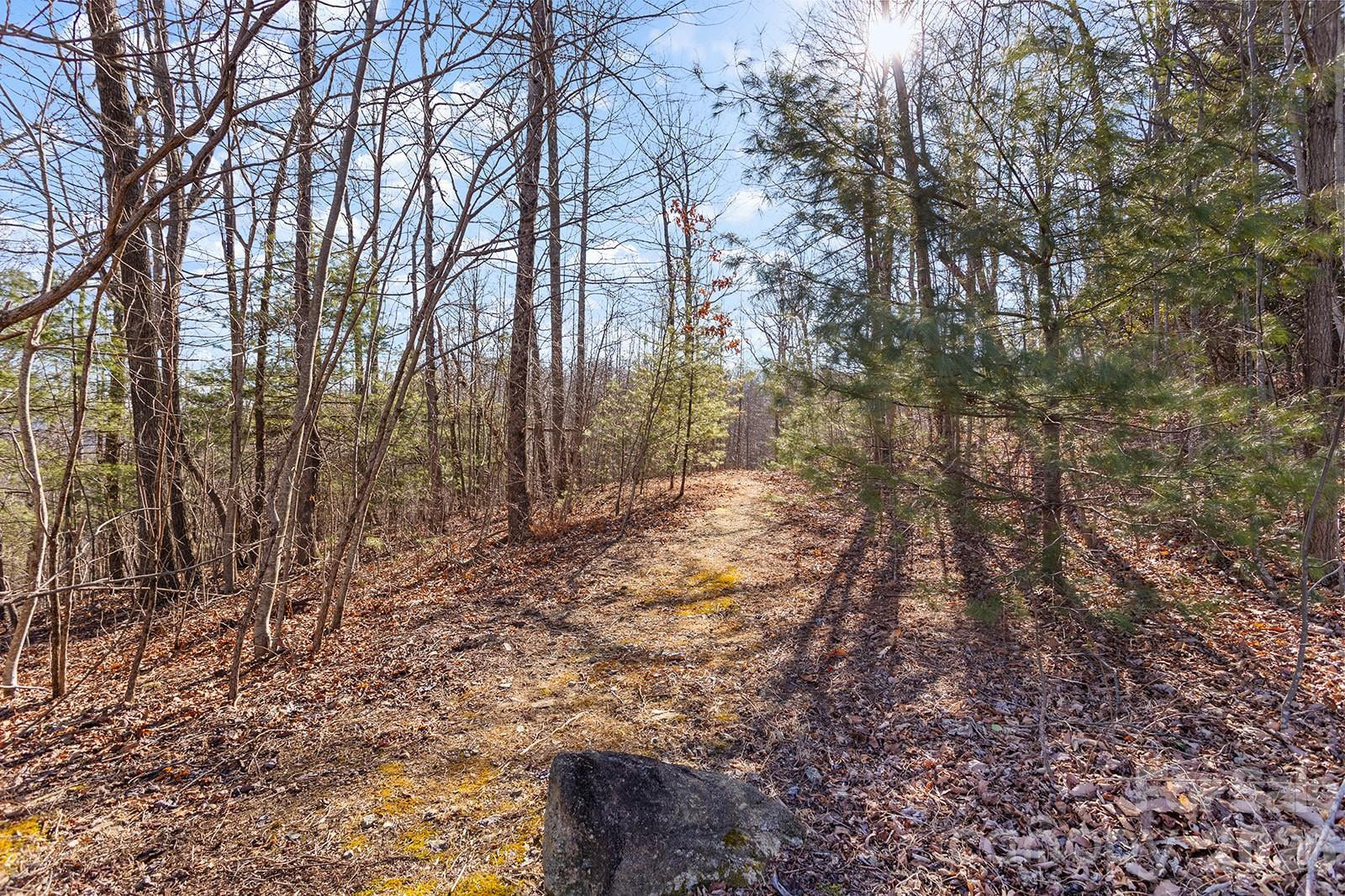 0000 Pinnacle Mountain Road #Lots 1,2,3,4 - Photo 5