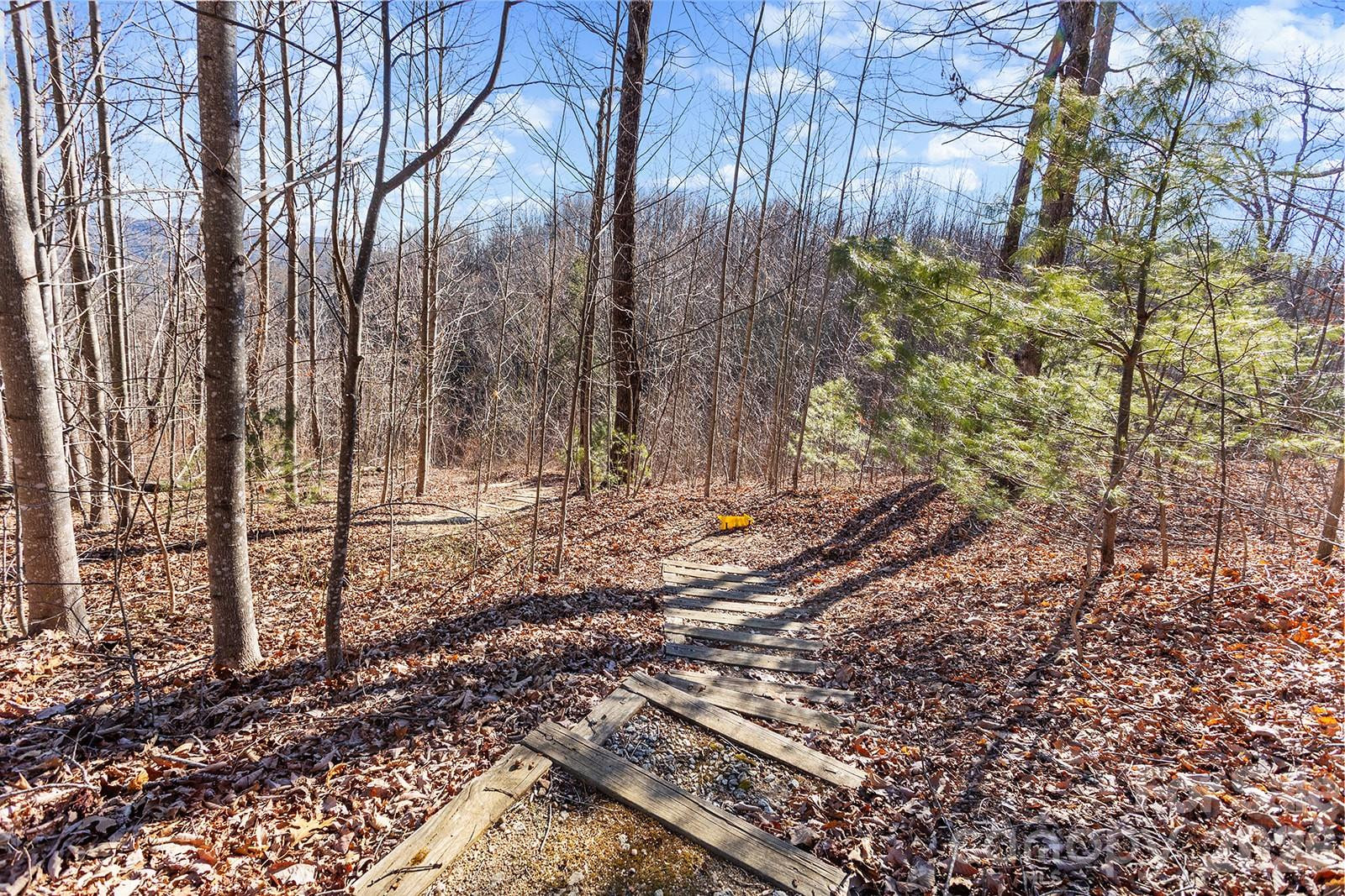 0000 Pinnacle Mountain Road #Lots 1,2,3,4 - Photo 10