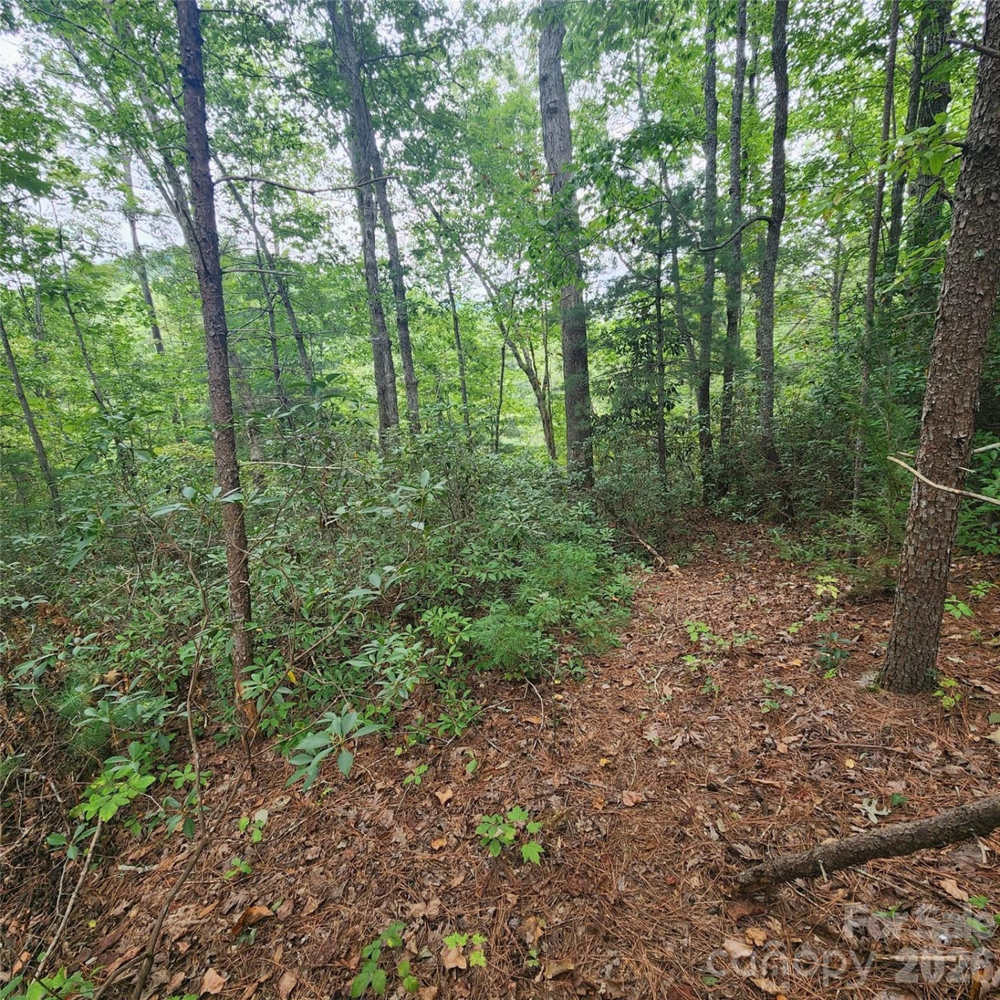 Lot 11 Waterside Drive - Photo 2