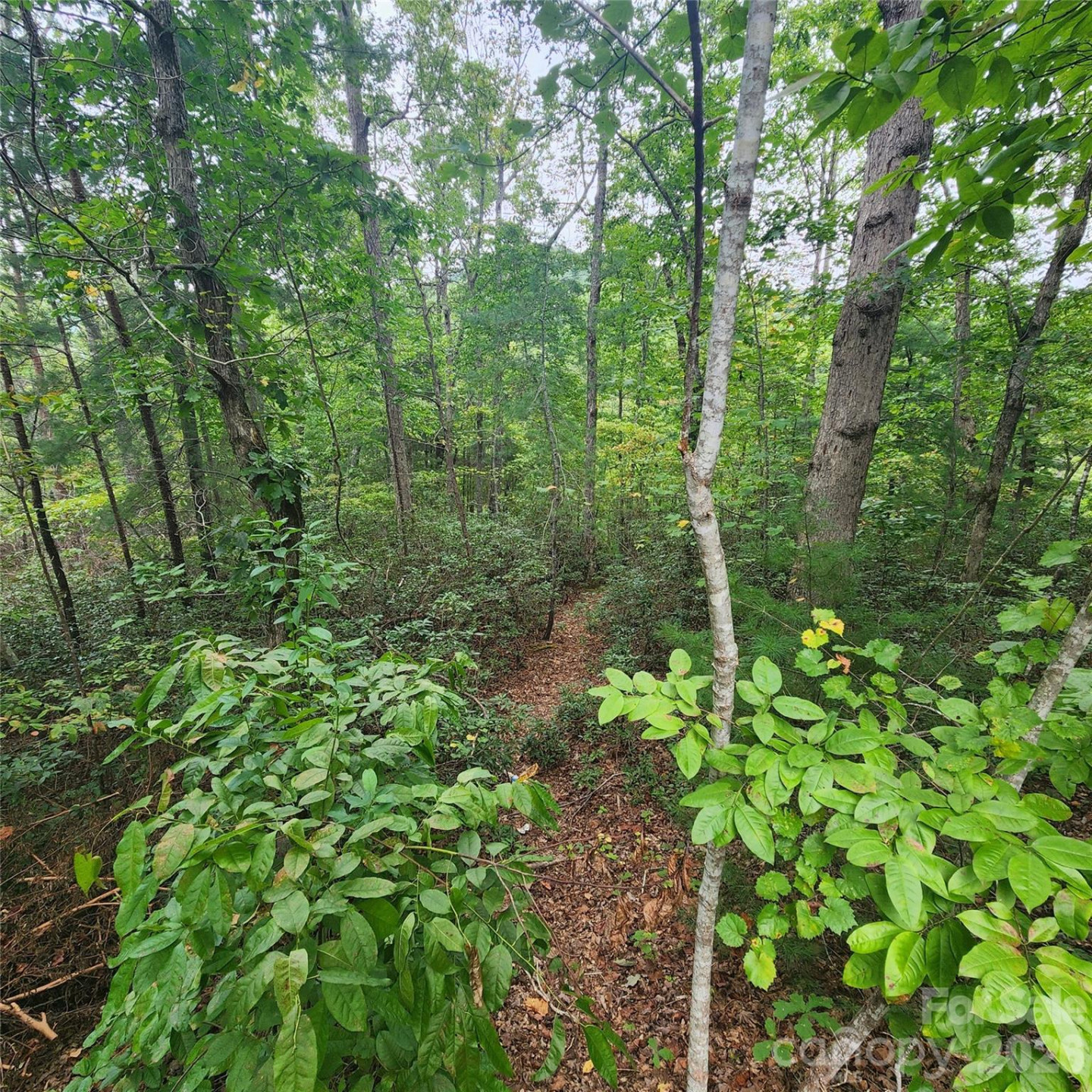 Lot 11 Waterside Drive - Photo 3