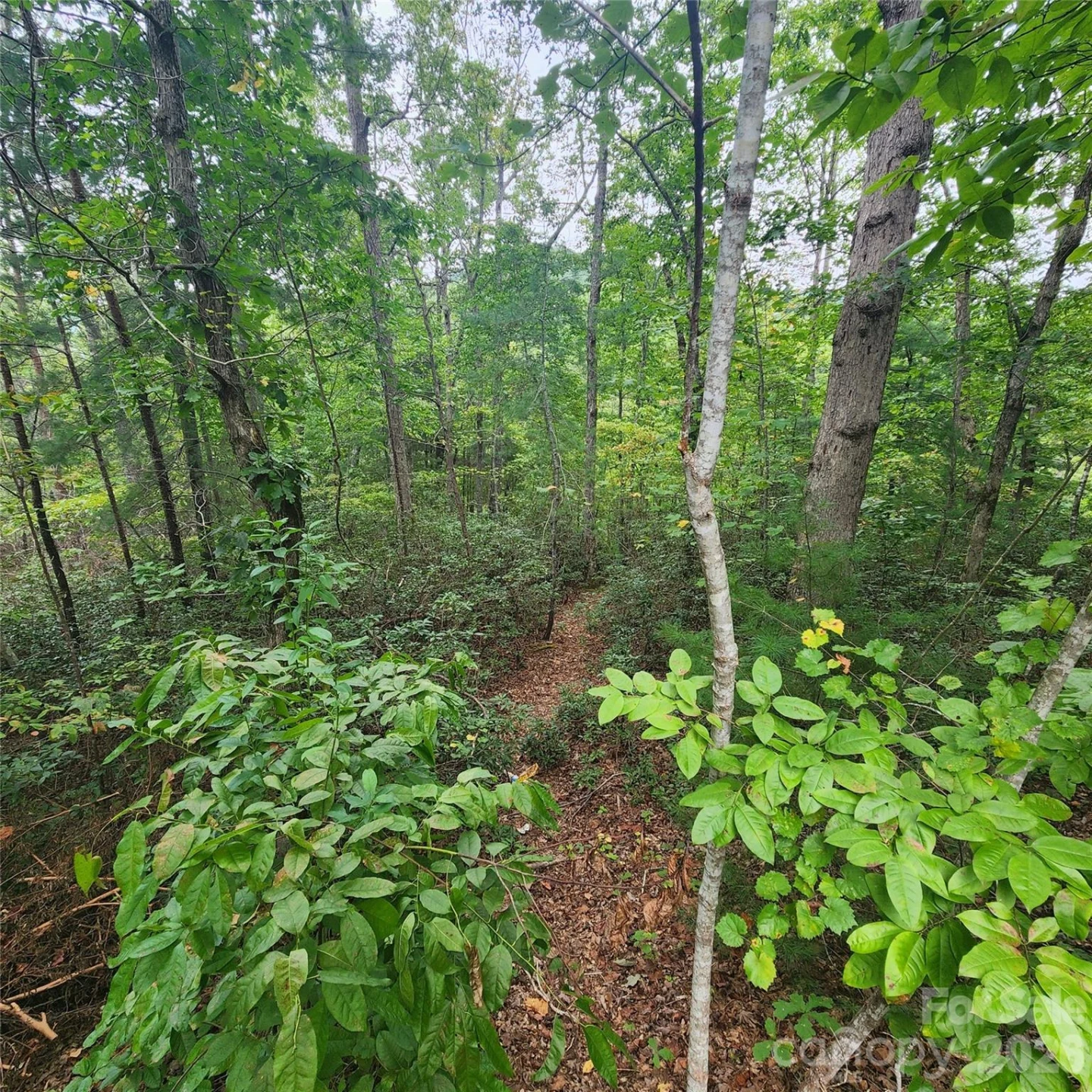 Lot 11 Waterside Drive - Photo 3
