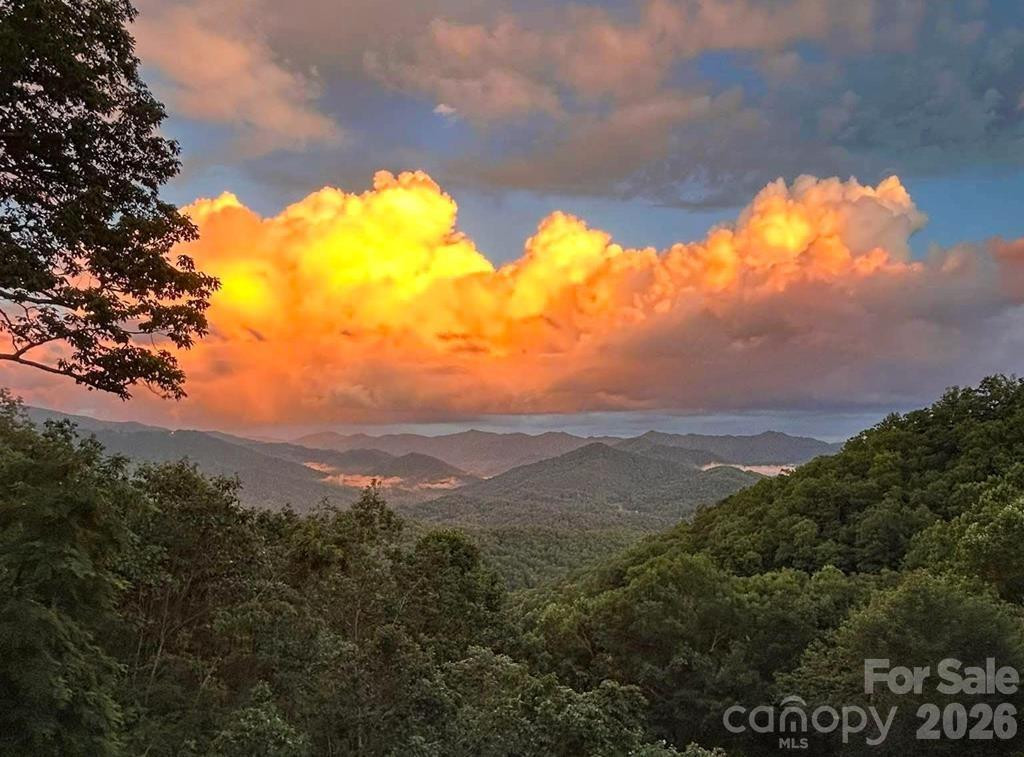 1028 Big Rockys Road - Photo 2