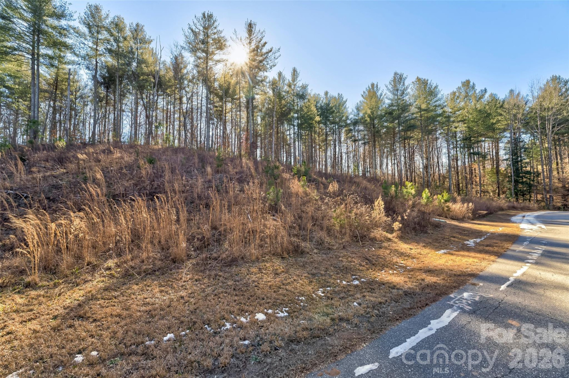 3252 Peninsula Pointe Drive - Photo 5