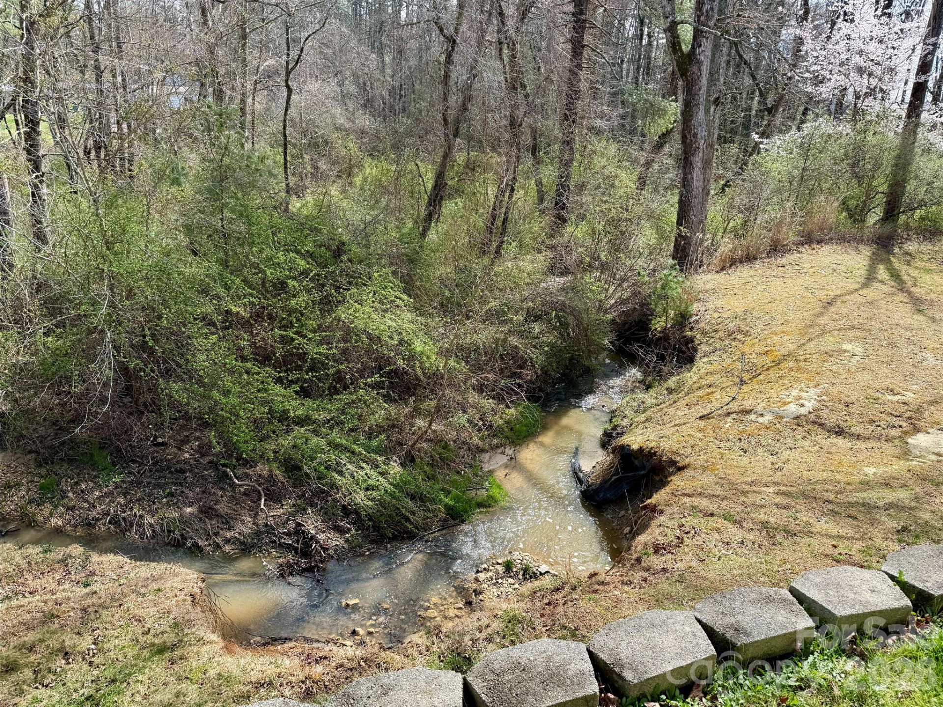 703 Olde Covington Way - Photo 3