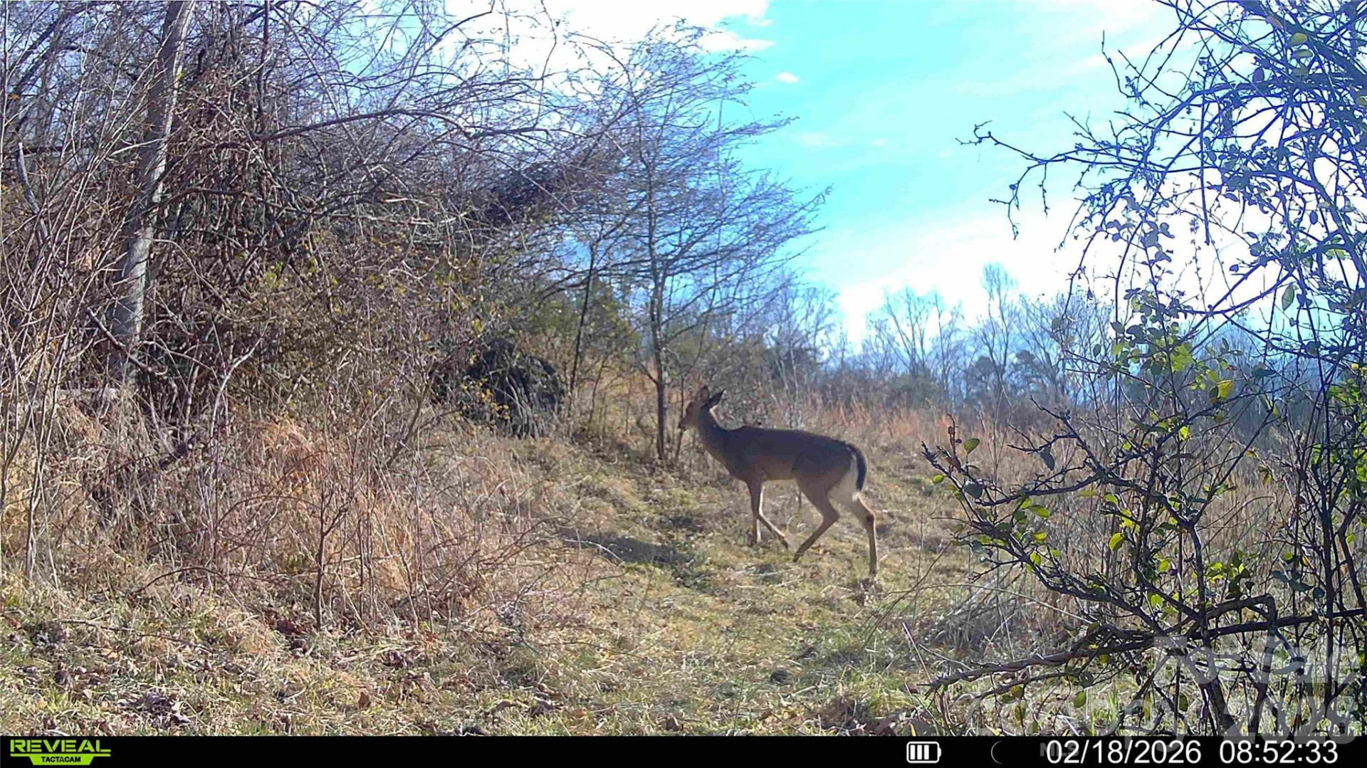 99999 Green Valley Road - Photo 19