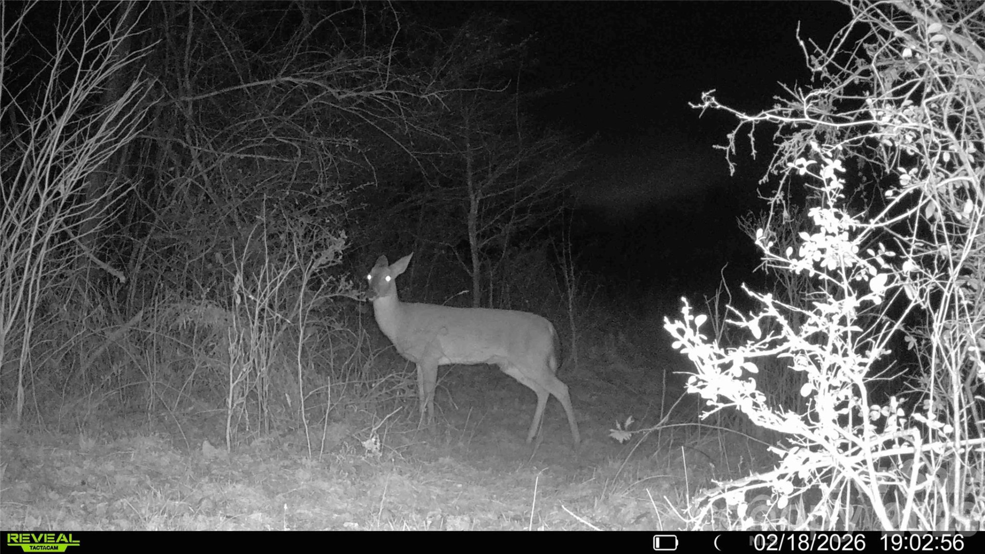 99999 Green Valley Road - Photo 20