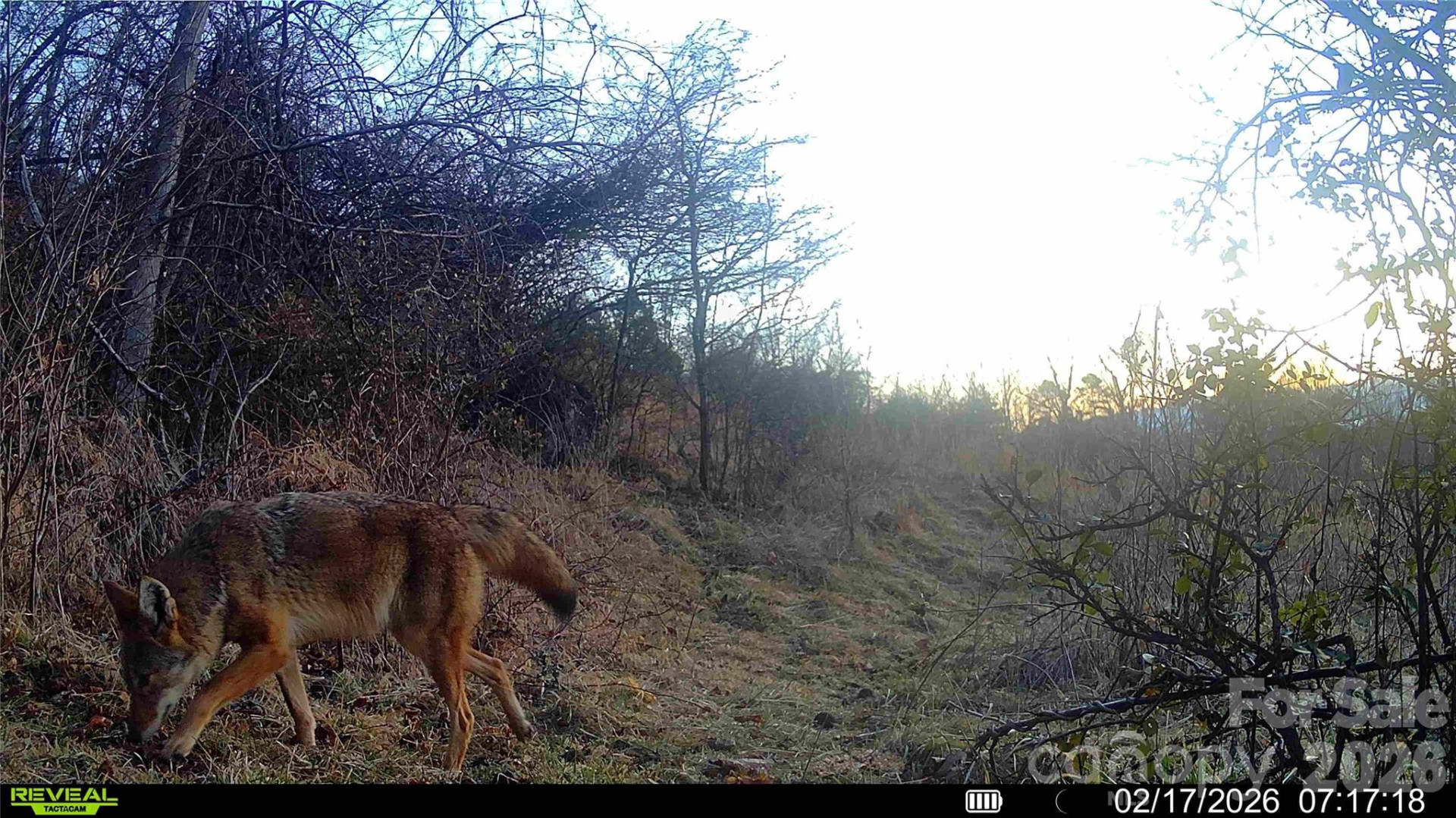 99999 Green Valley Road - Photo 21