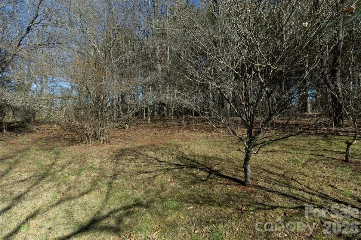 297 Banner Farm Road - Photo 39