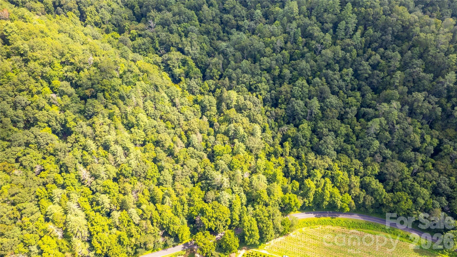 TBD Collettsville Road #1,2,5 - Photo 11