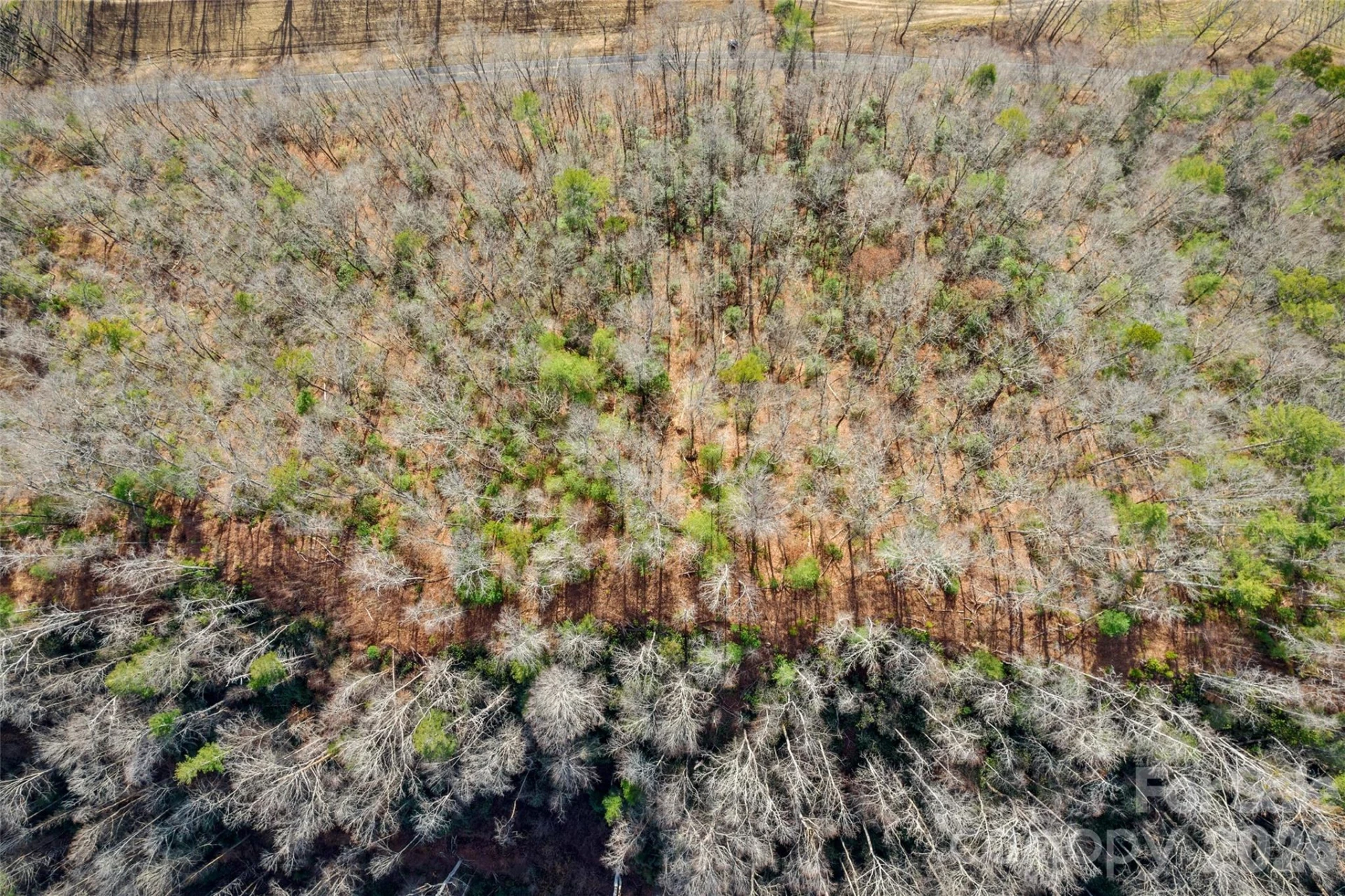 TBD Collettsville Road #3 - Photo 12