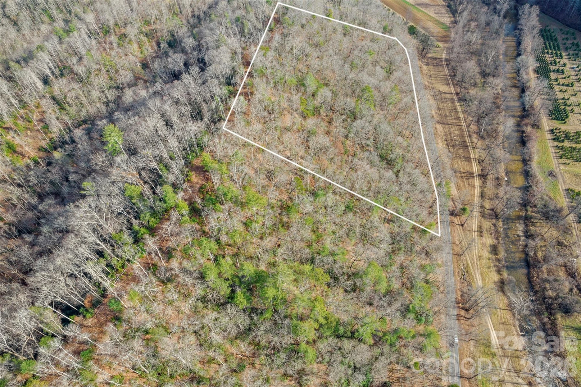 TBD Collettsville Road #3 - Photo 14