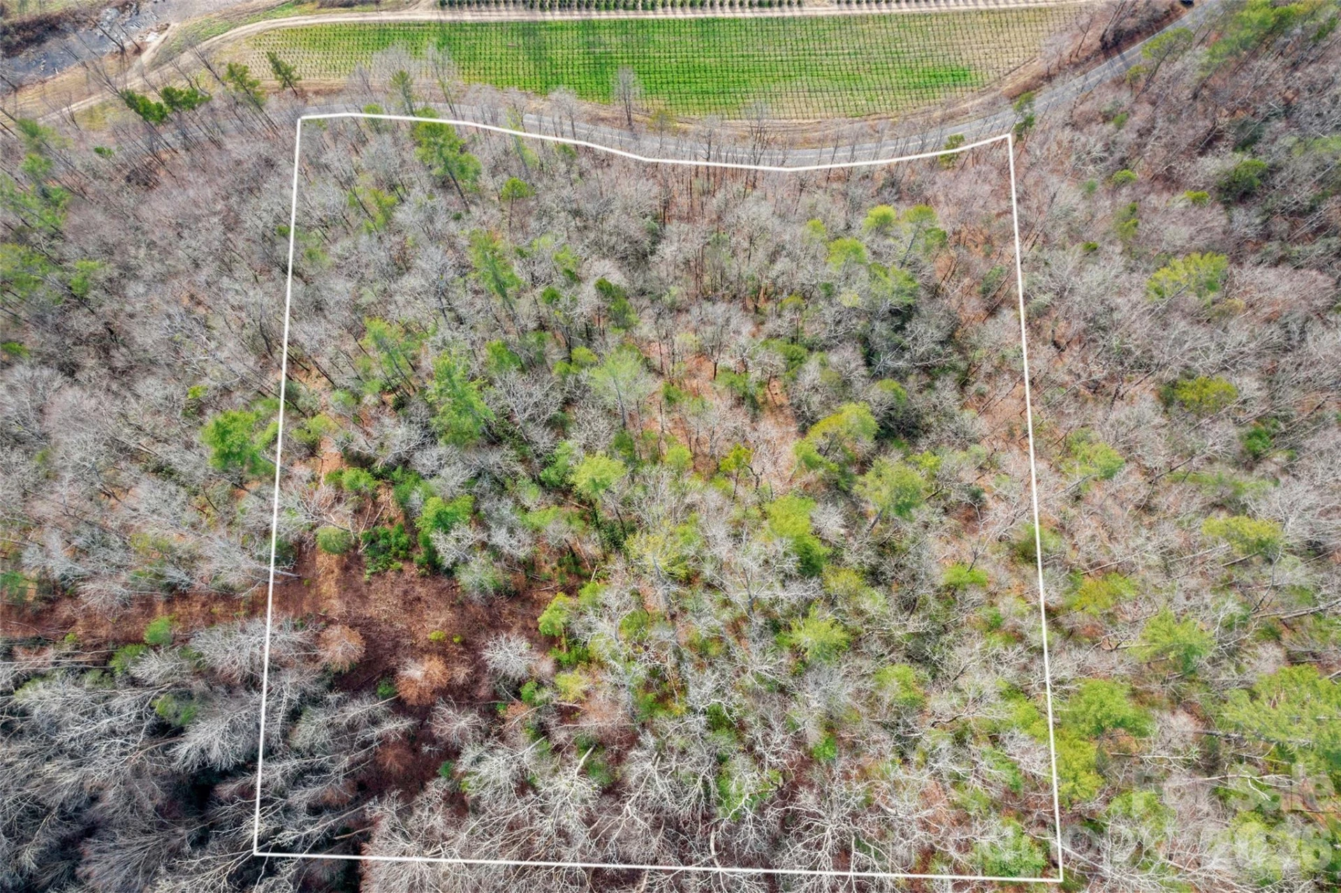 TBD Collettsville Road #3 - Photo 19
