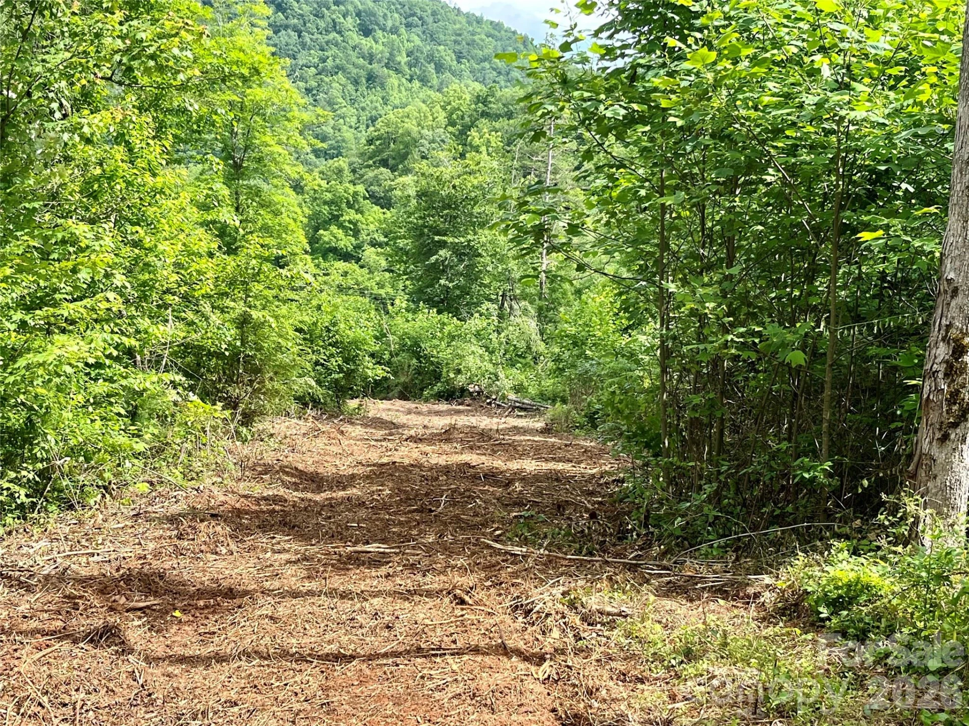 TBD Collettsville Road #4 - Photo 11