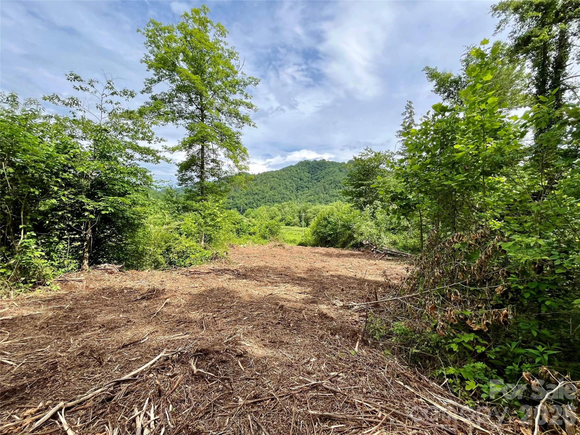 TBD Collettsville Road #4 - Photo 12