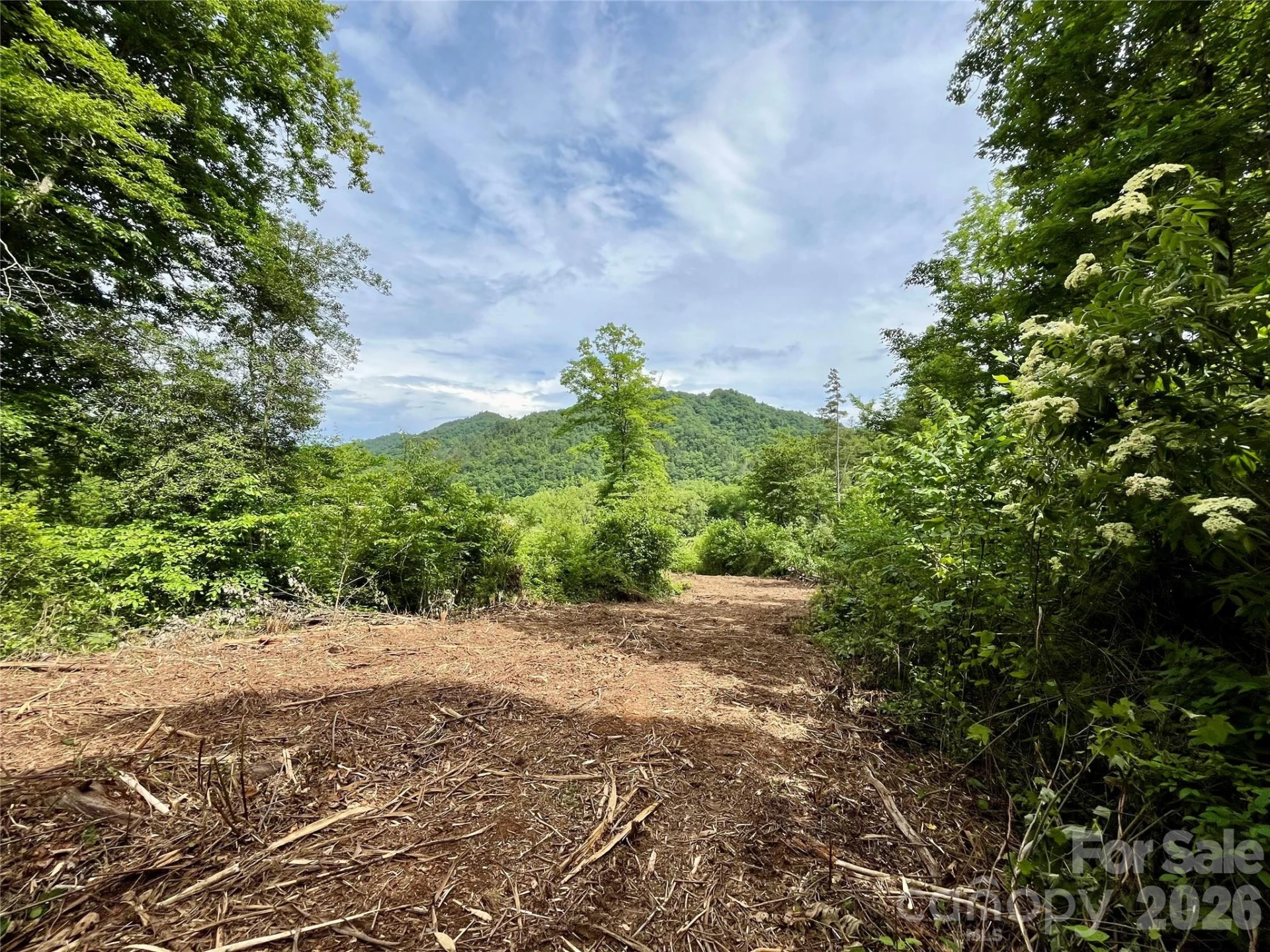 TBD Collettsville Road #4 - Photo 13