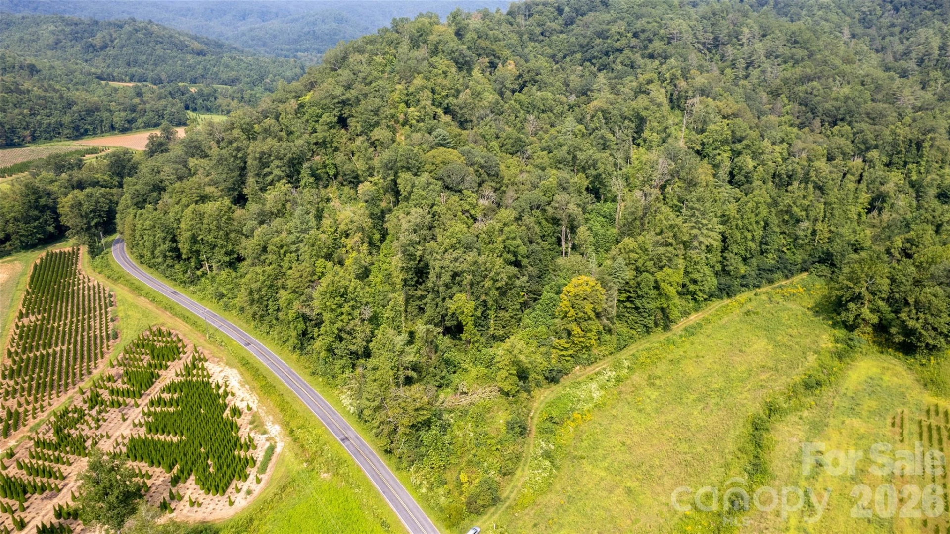 TBD Collettsville Road #4 - Photo 14