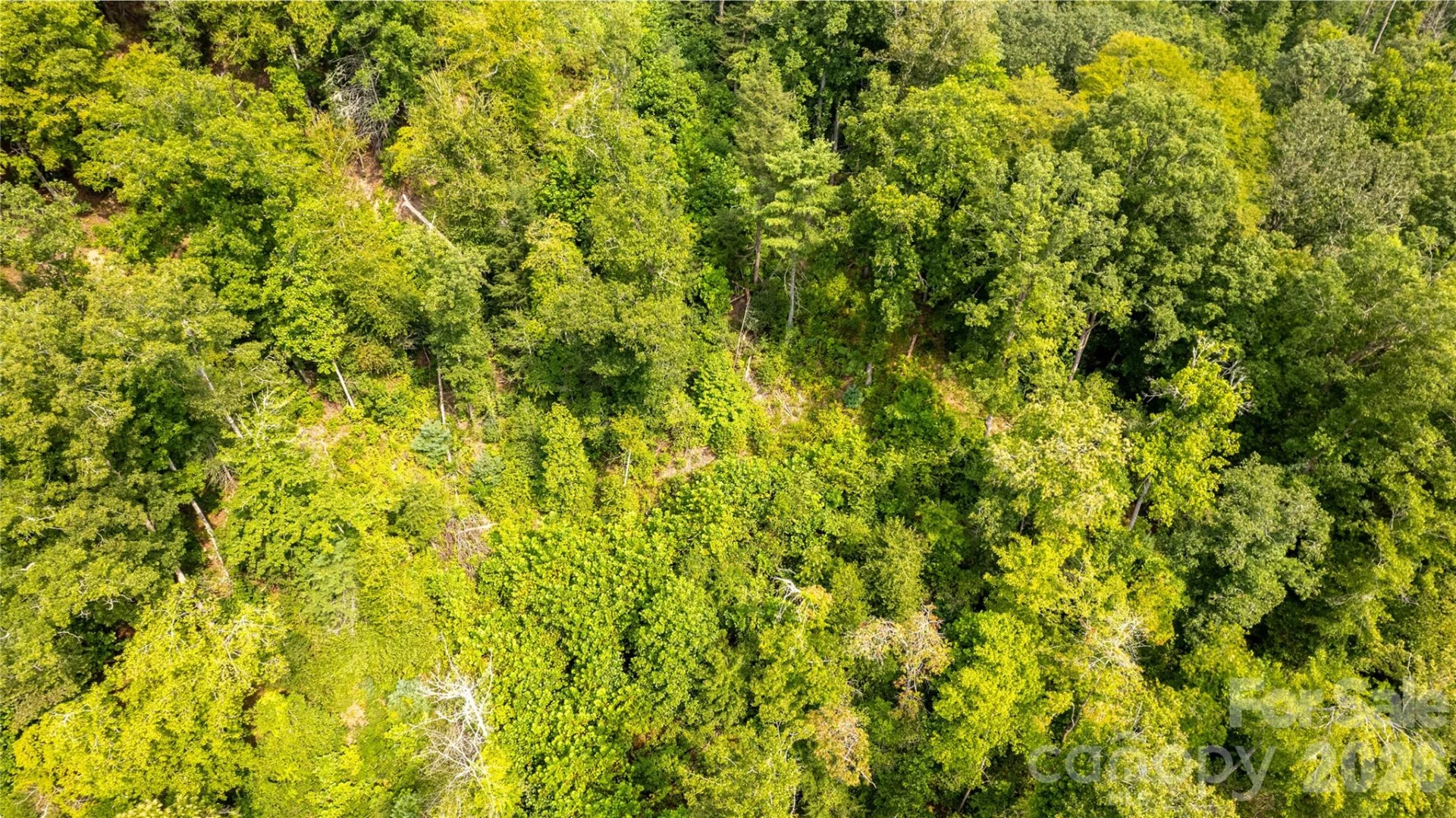 TBD Collettsville Road #4 - Photo 17