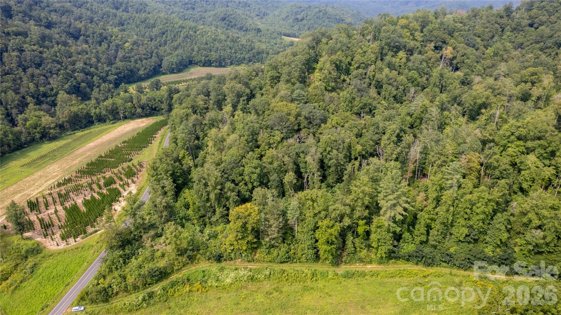 TBD Collettsville Road #4 - Photo 19