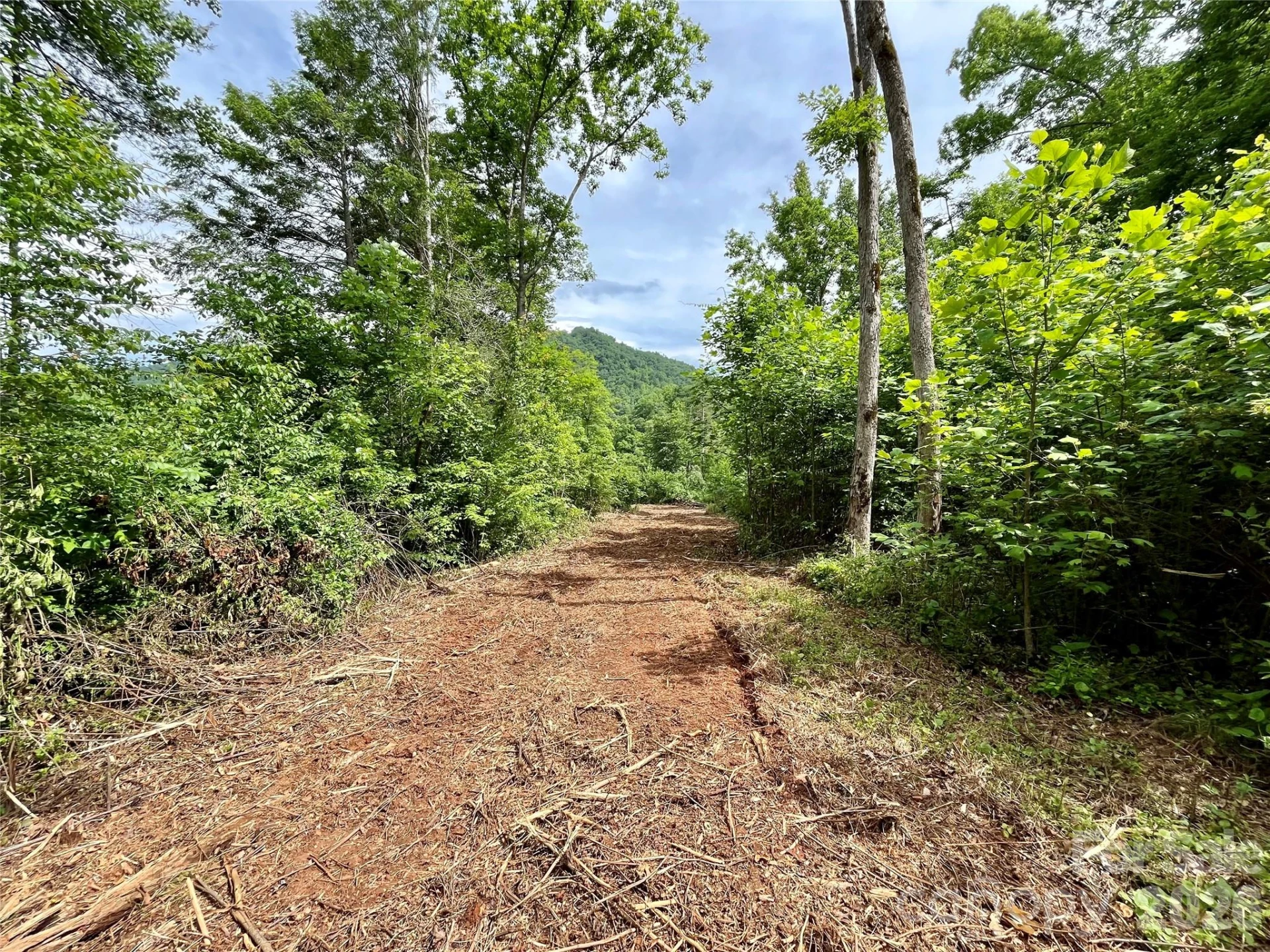 TBD Collettsville Road #4 - Photo 3